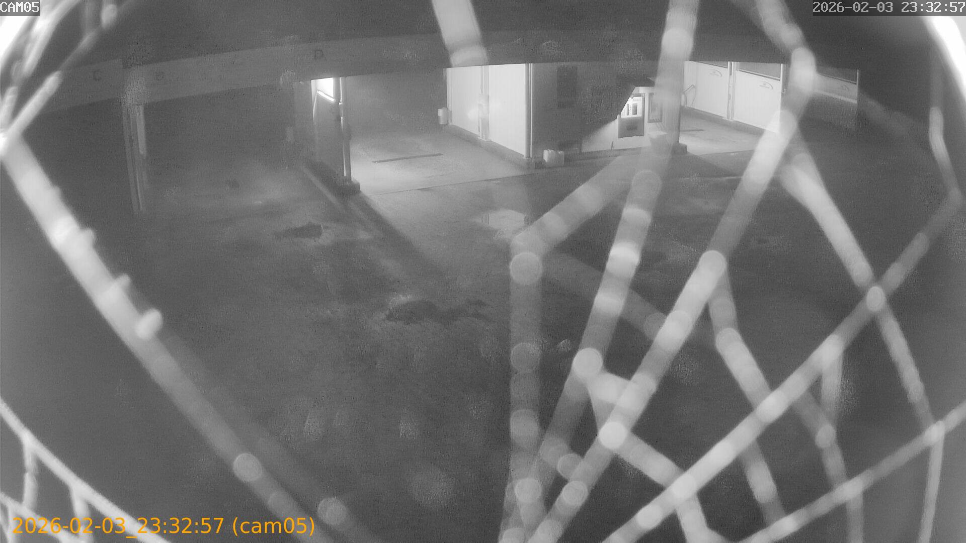 thumbnail_20260203233257