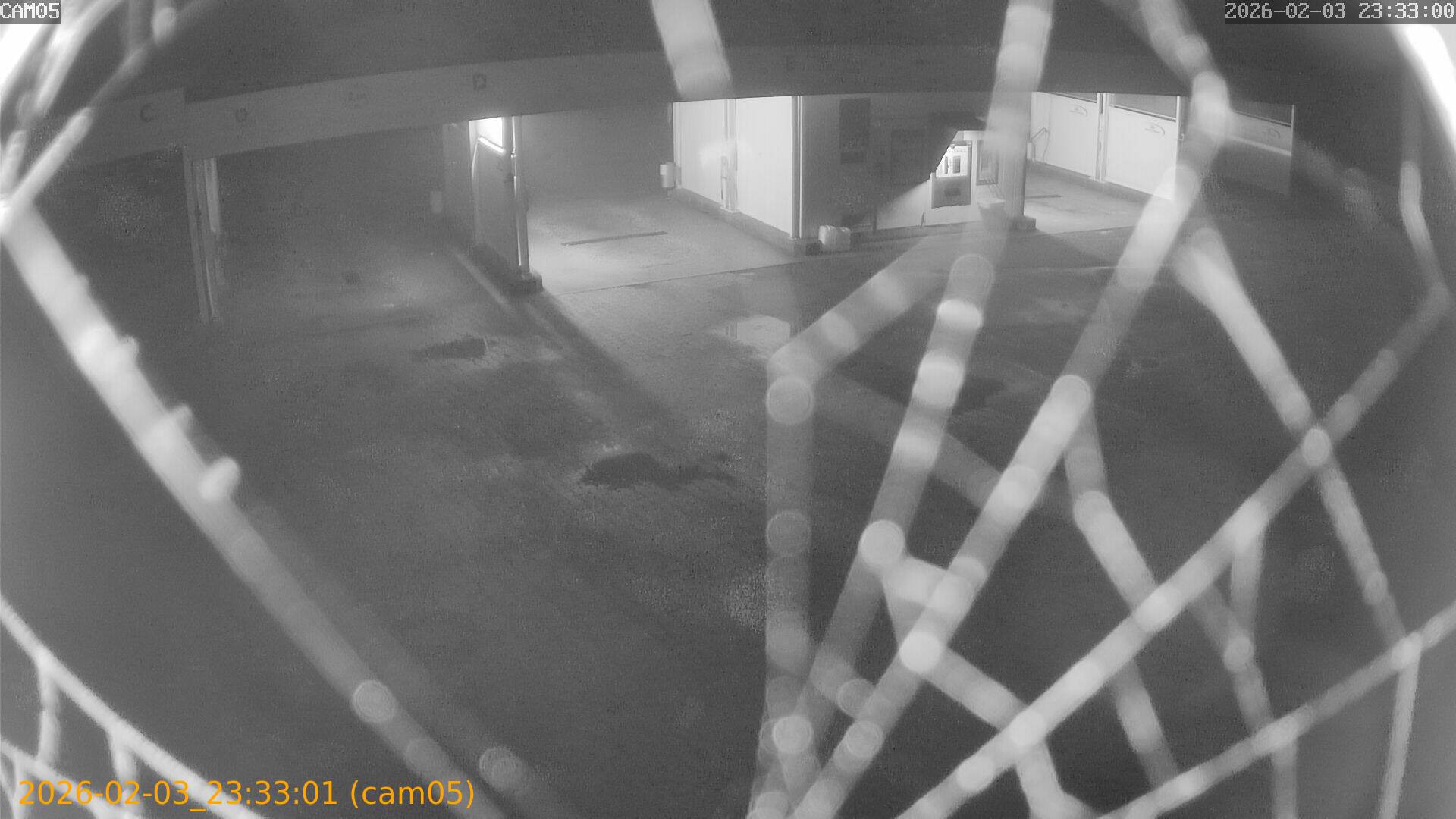 thumbnail_20260203233301