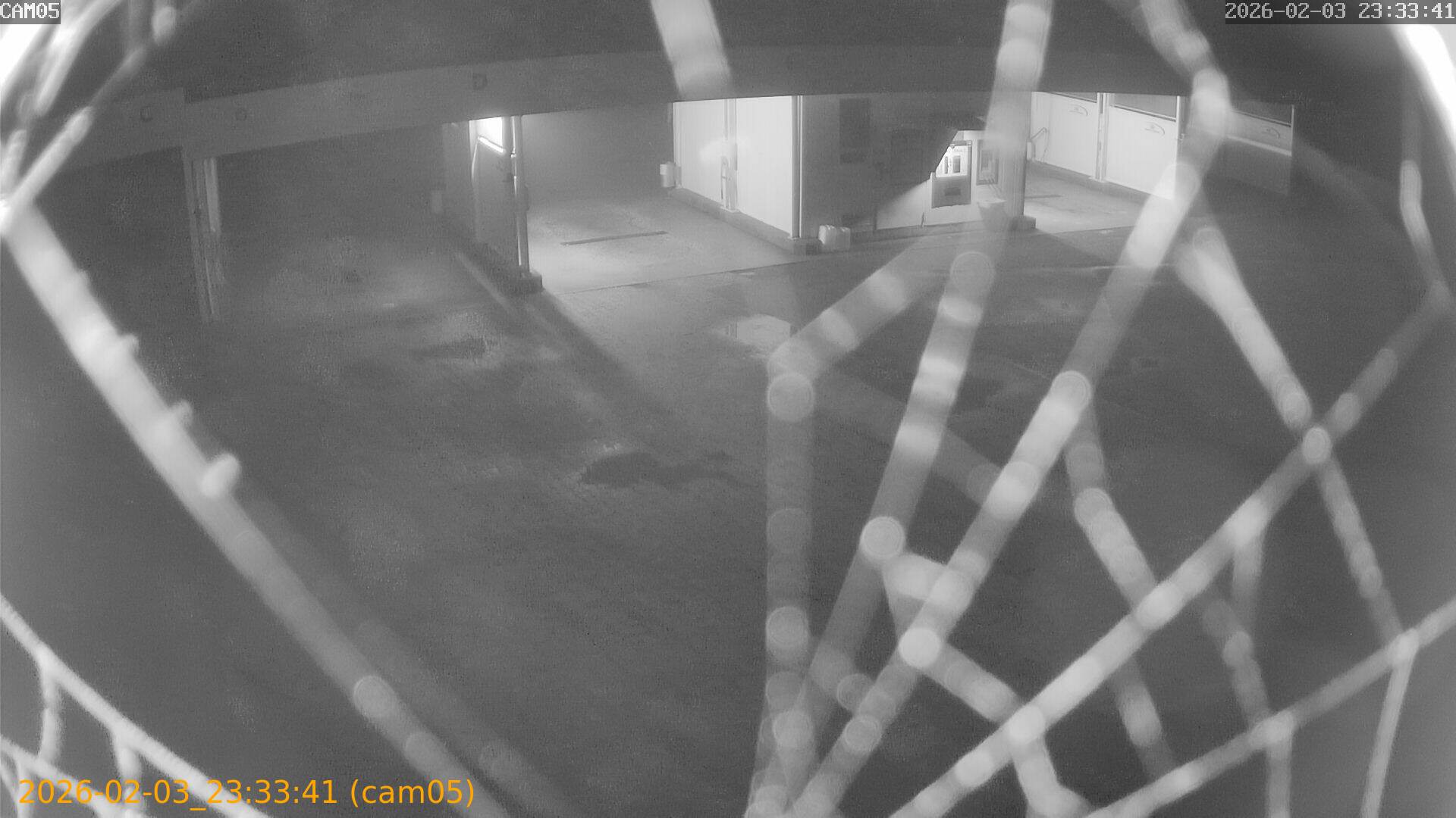 thumbnail_20260203233341