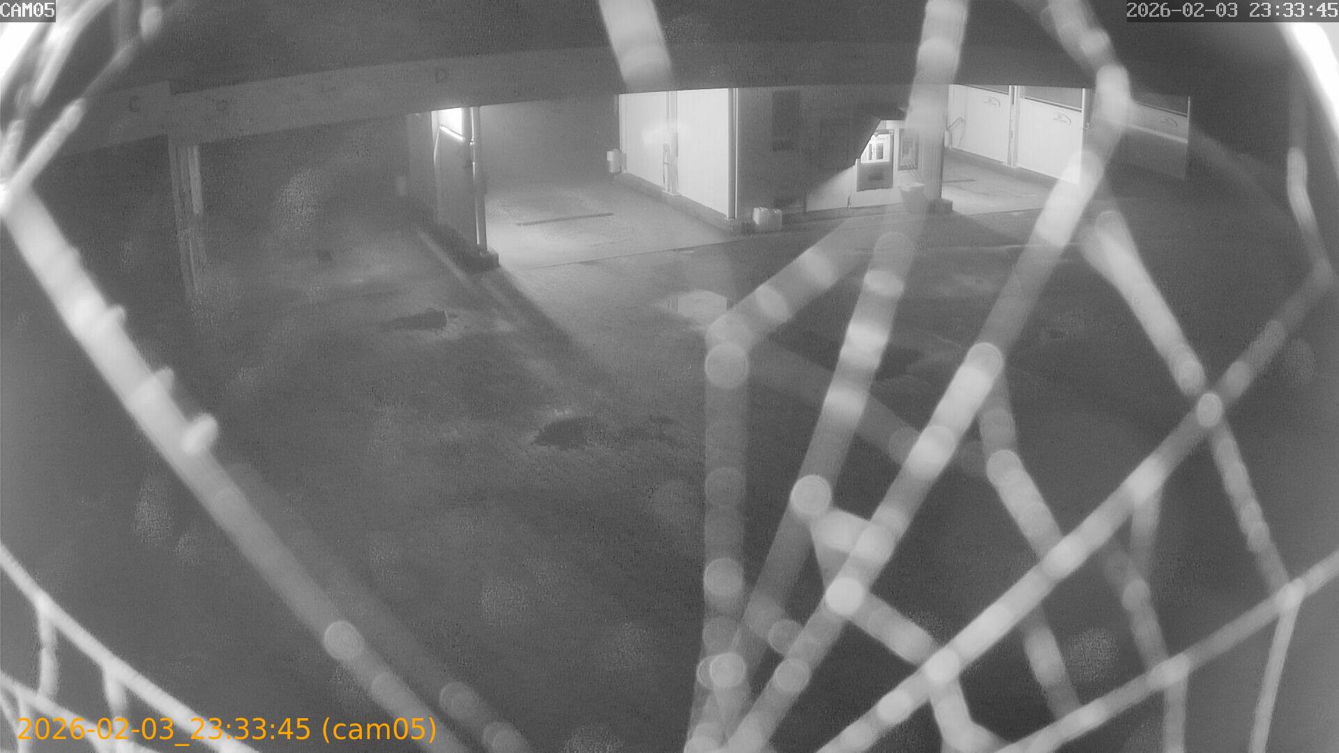 thumbnail_20260203233345