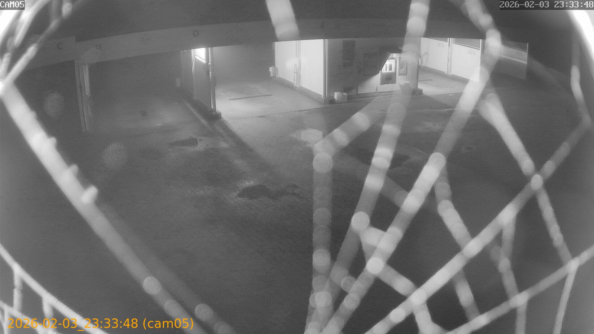 thumbnail_20260203233348