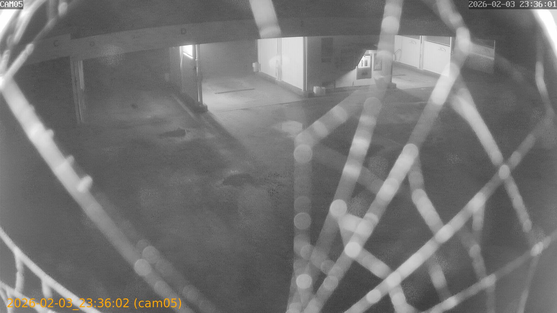 thumbnail_20260203233602