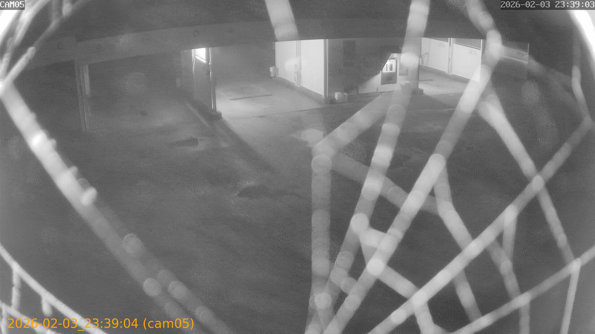 thumbnail_20260203233904