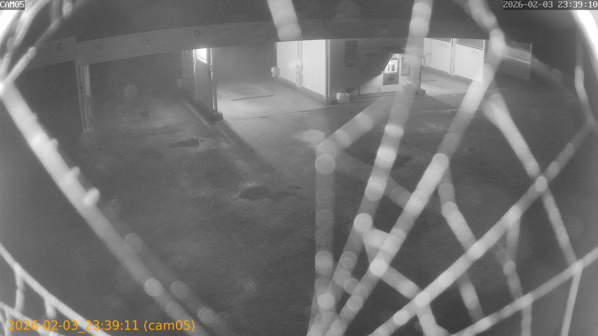 thumbnail_20260203233911