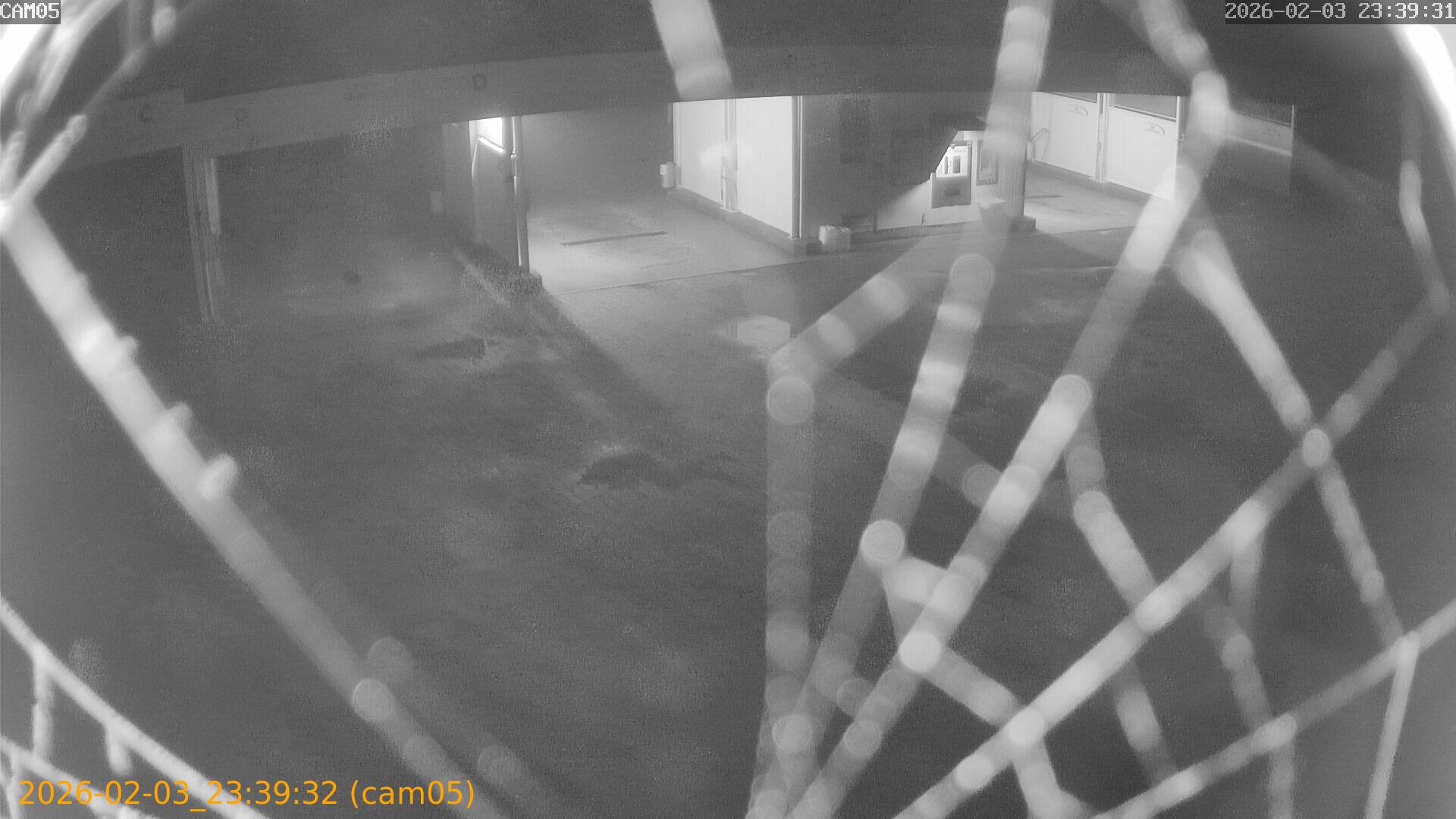 thumbnail_20260203233932