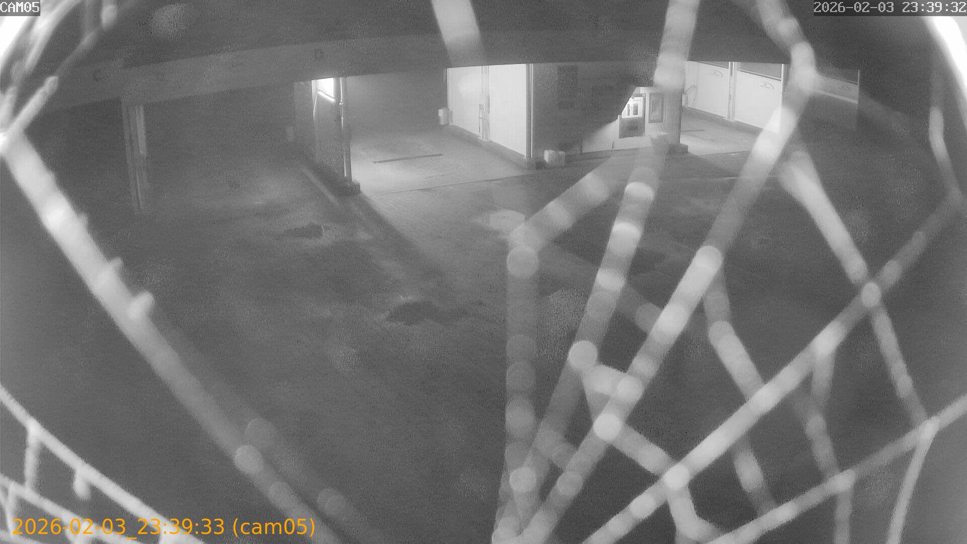 thumbnail_20260203233933