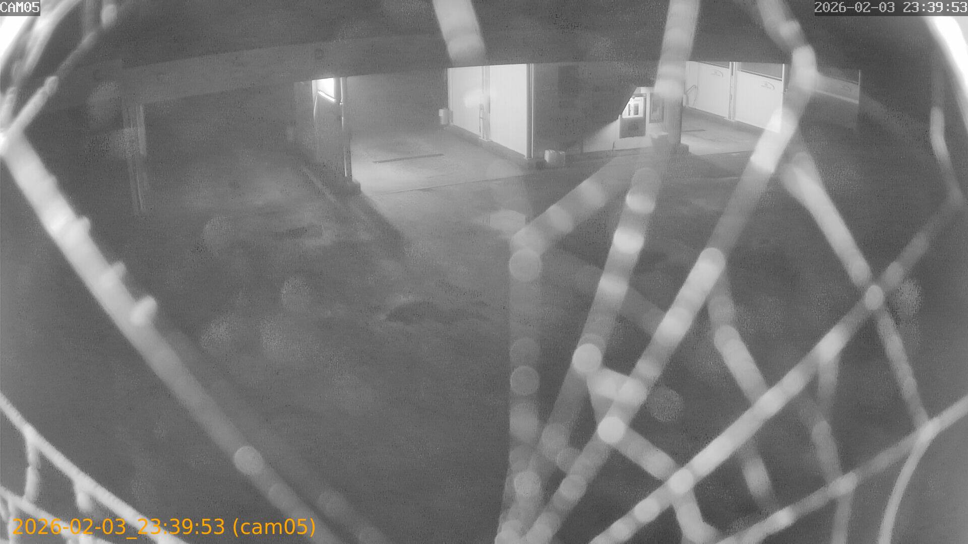 thumbnail_20260203233953