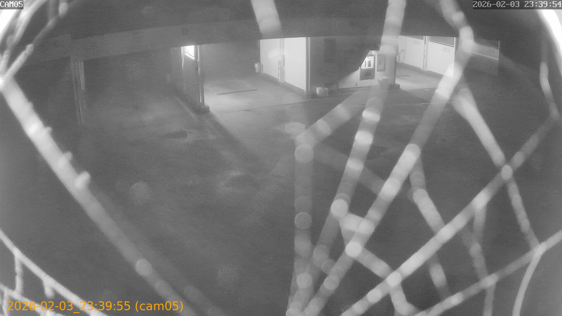 thumbnail_20260203233955