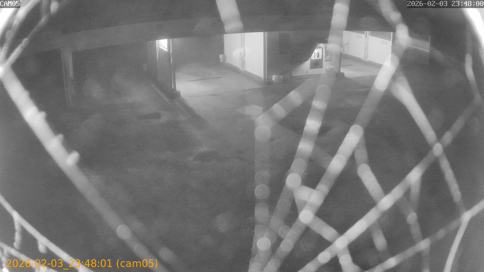 thumbnail_20260203234801