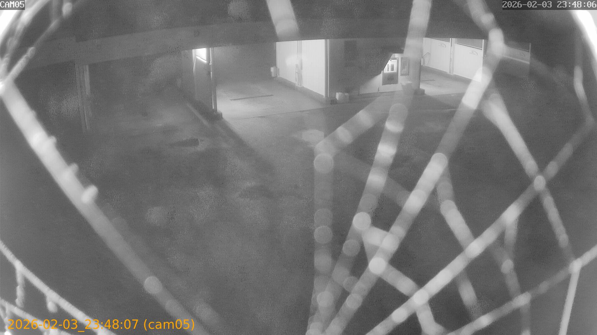 thumbnail_20260203234807