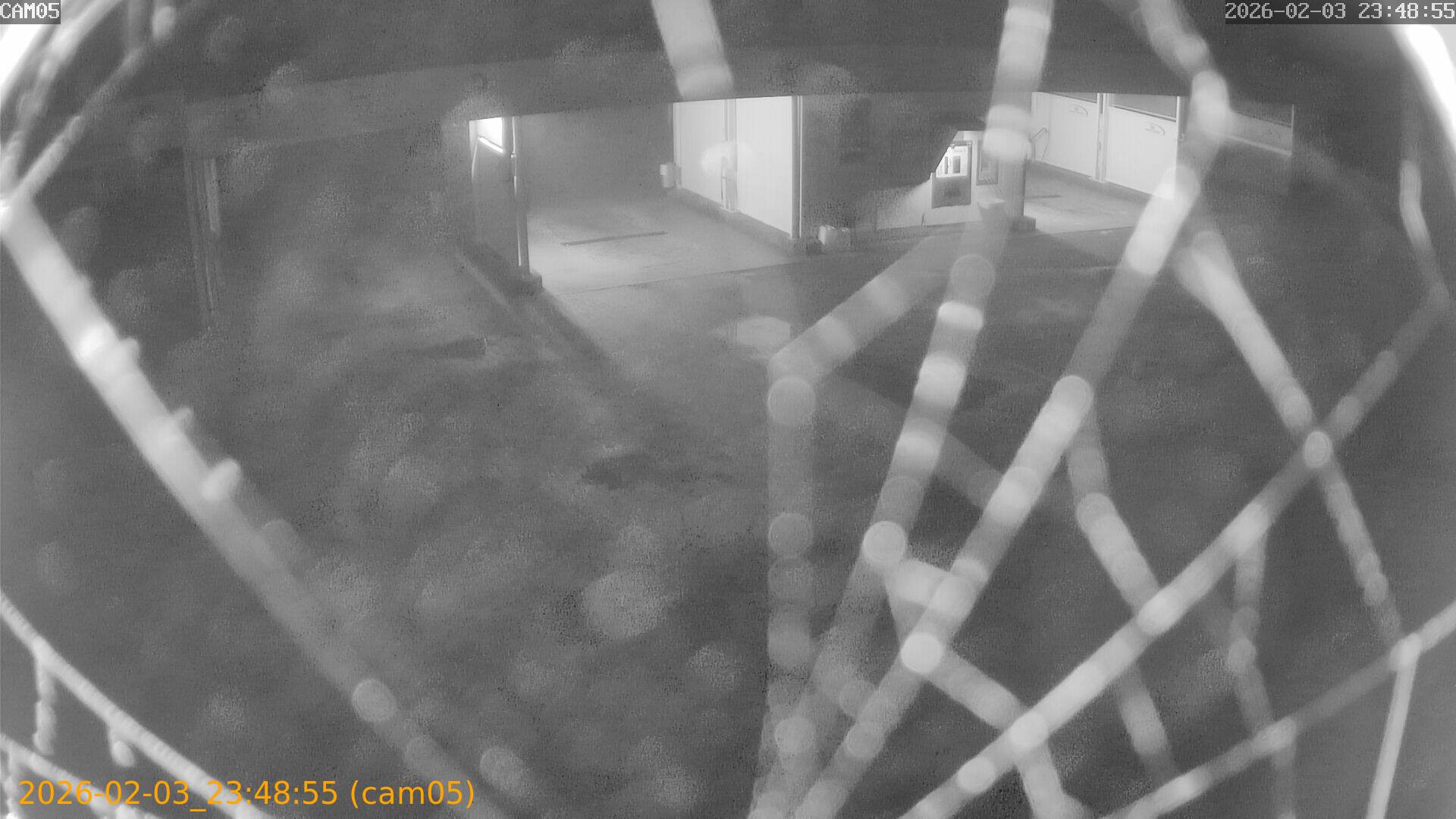 thumbnail_20260203234855