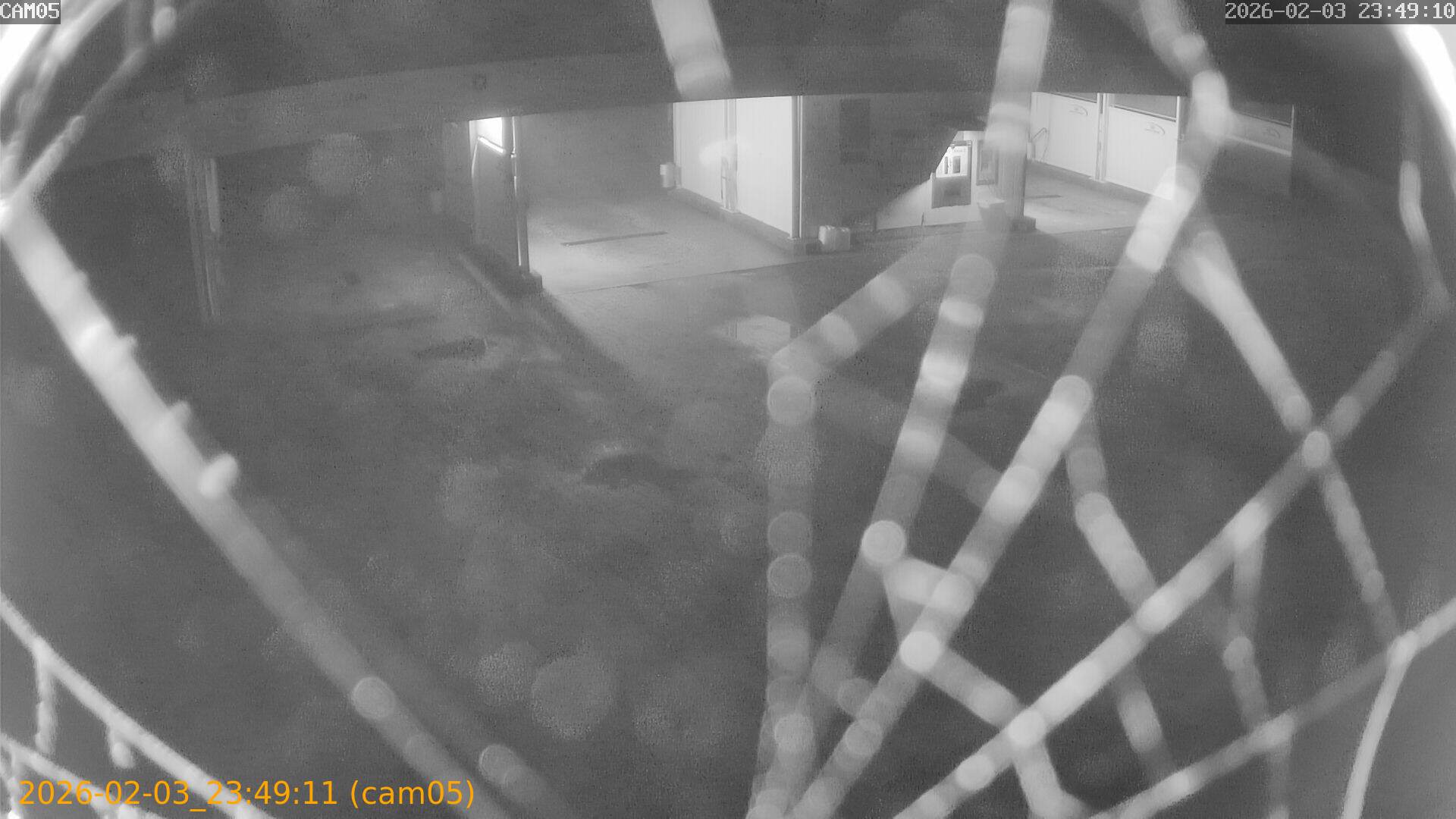 thumbnail_20260203234911