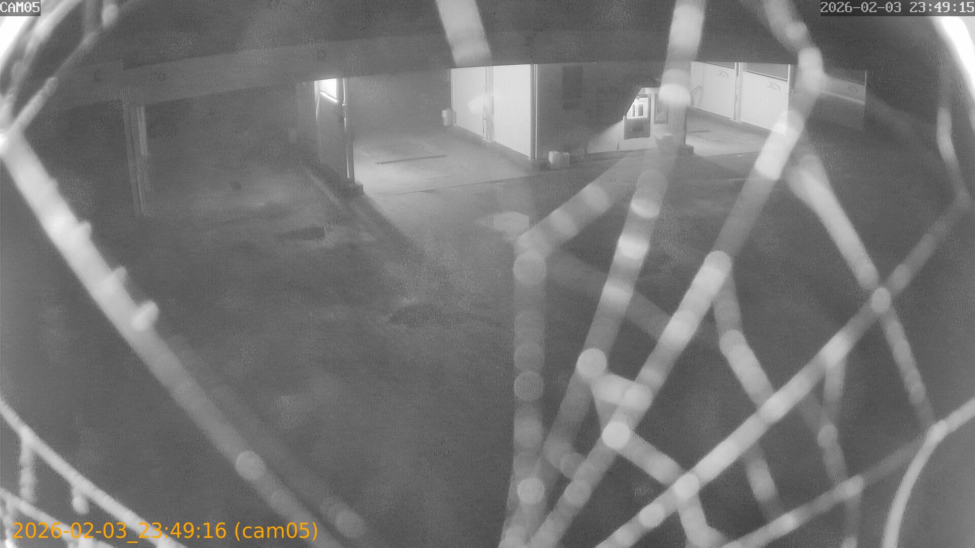 thumbnail_20260203234916