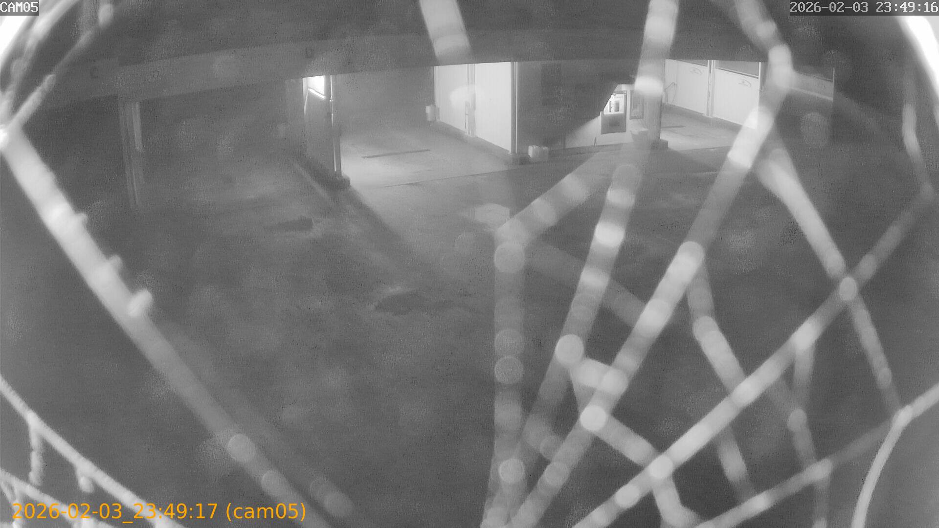 thumbnail_20260203234917