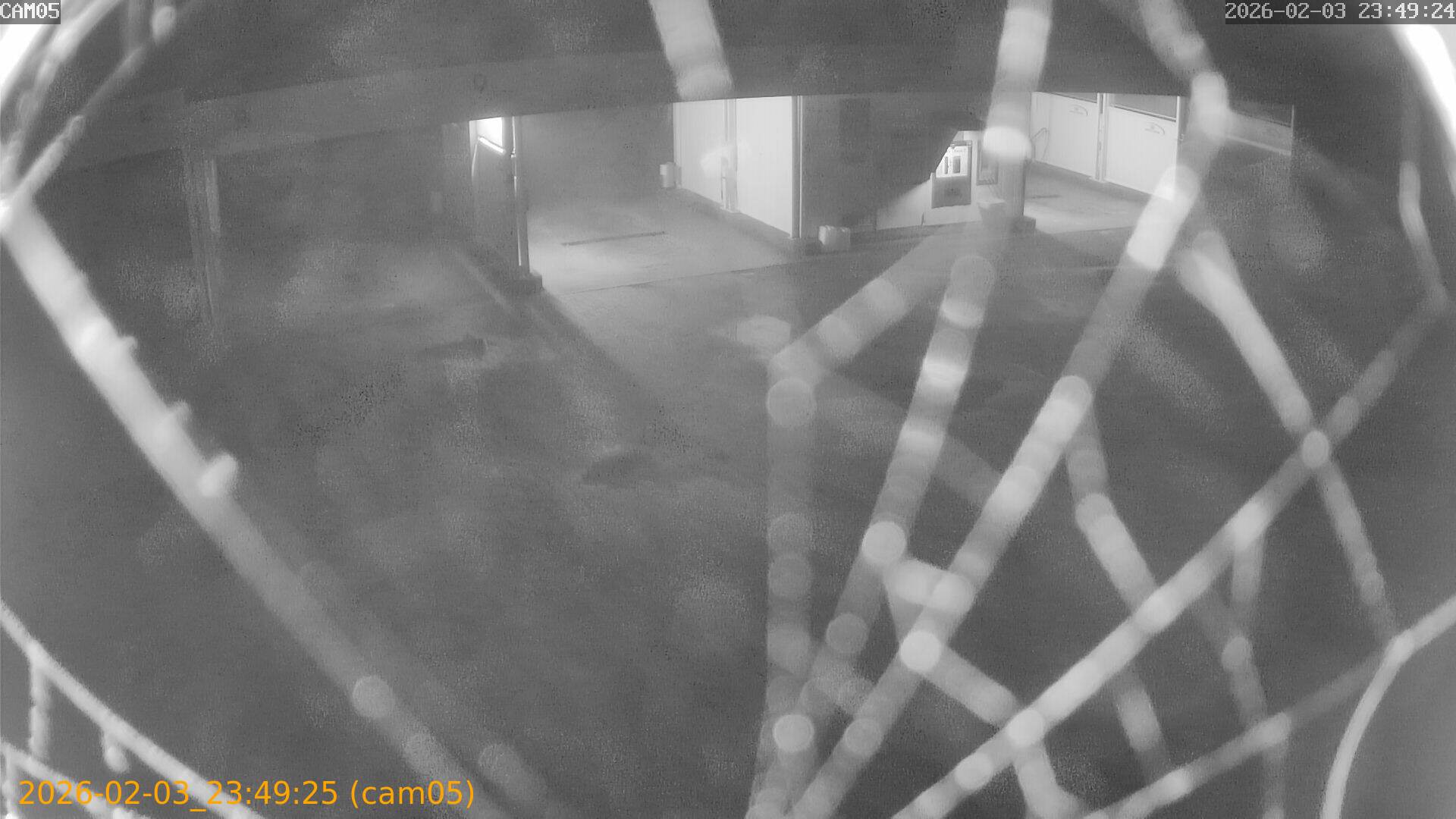 thumbnail_20260203234925