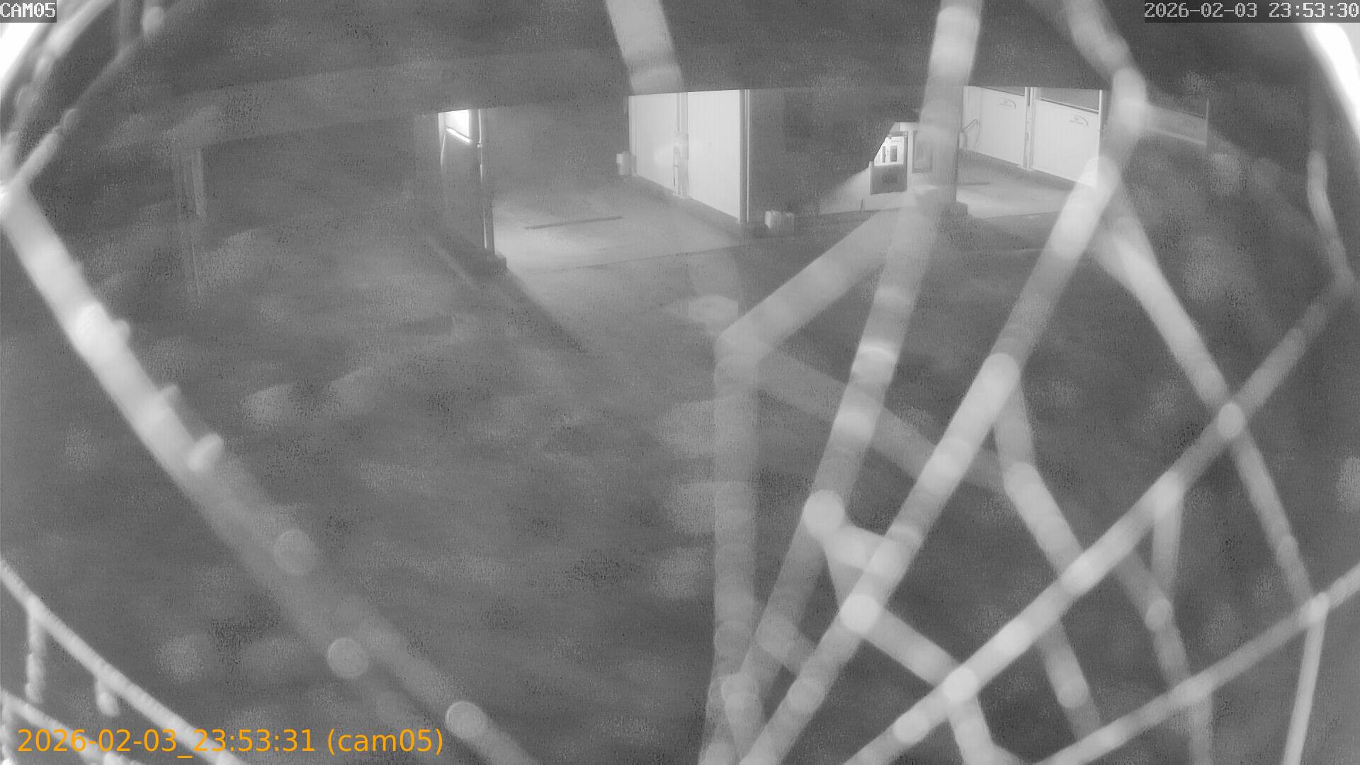 thumbnail_20260203235331