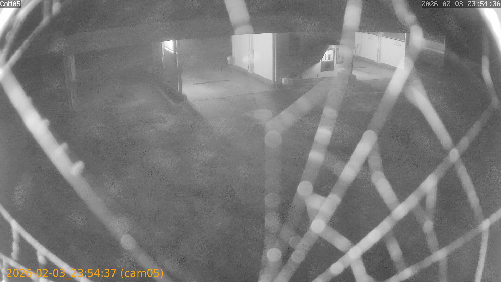 thumbnail_20260203235437