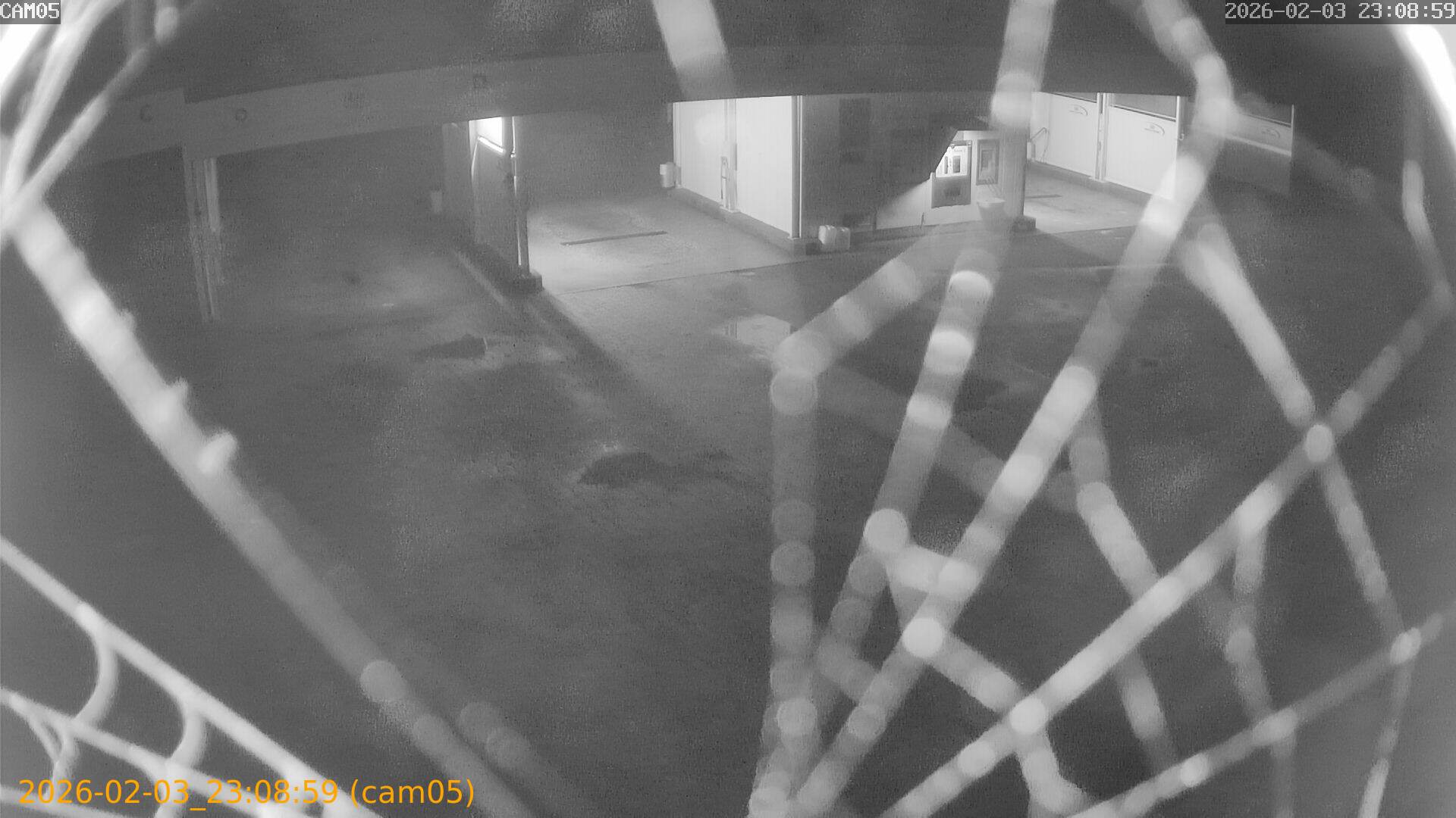 thumbnail_202602032308