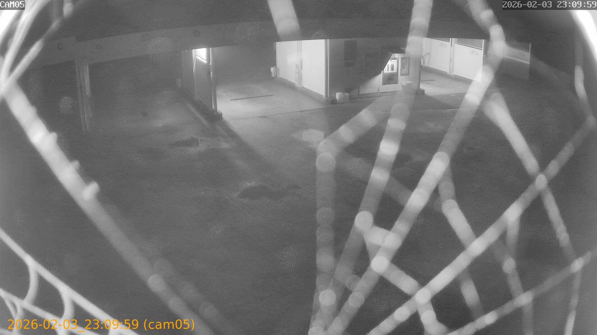 thumbnail_202602032309