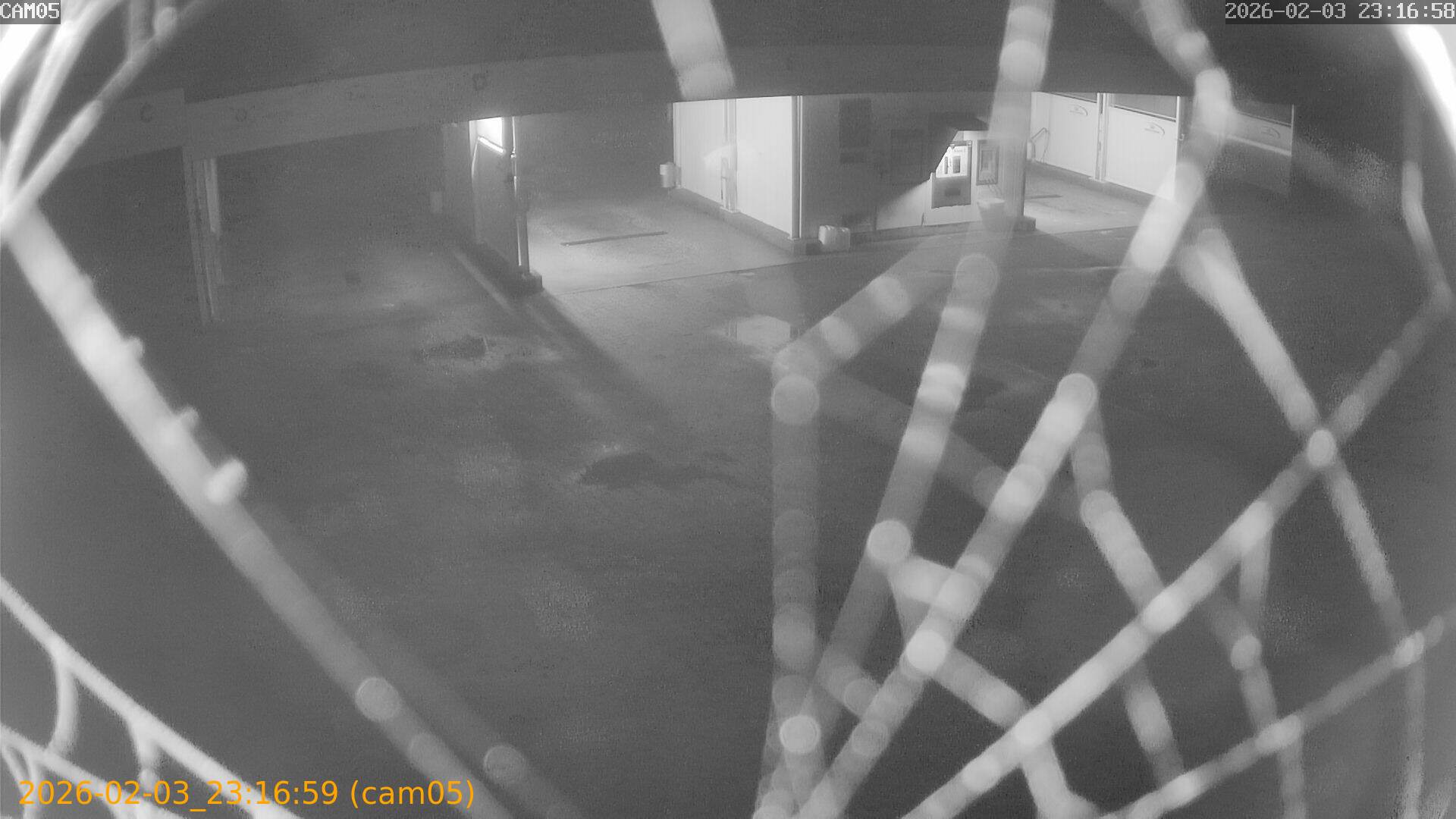 thumbnail_202602032316