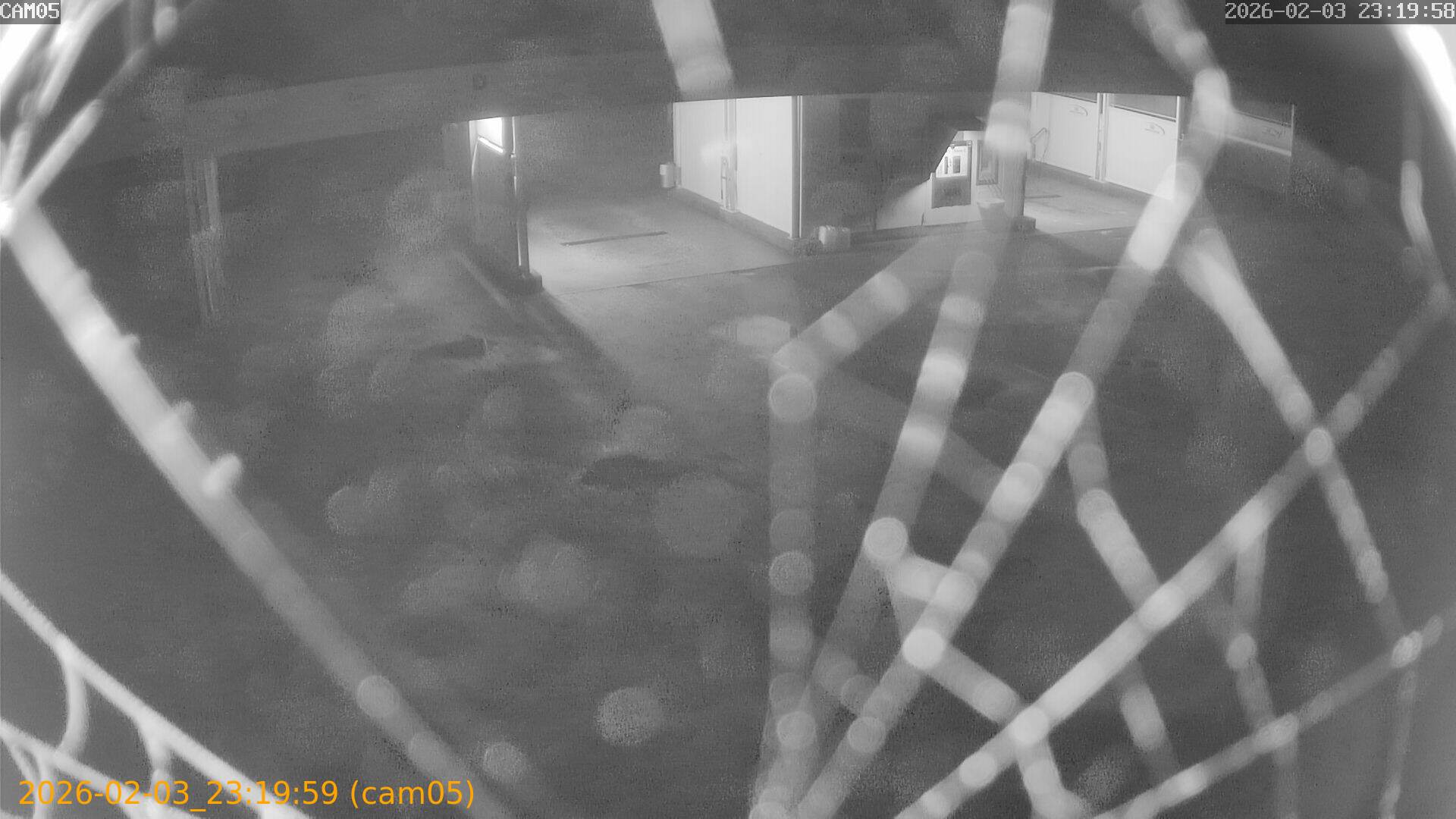 thumbnail_202602032319