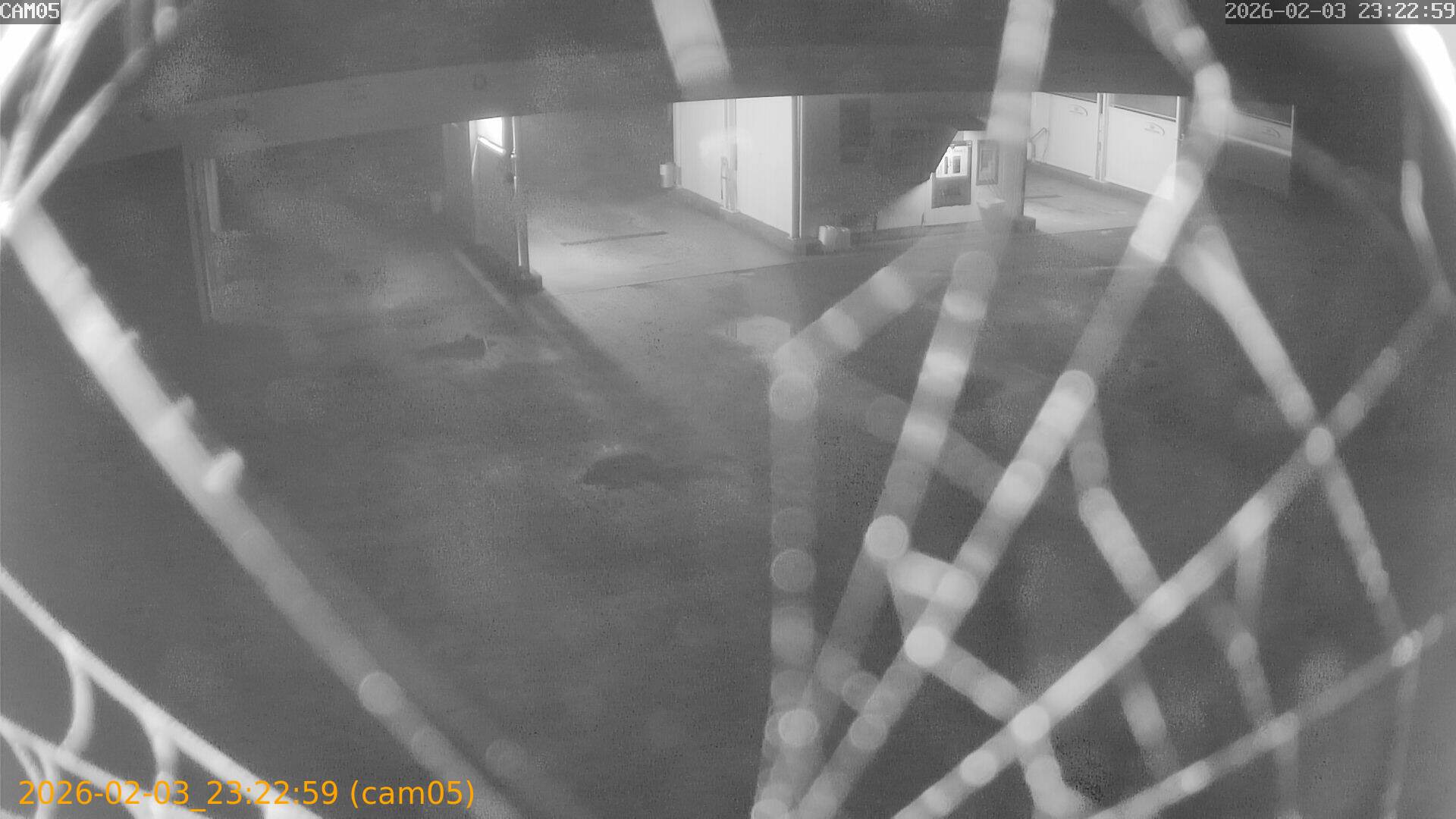 thumbnail_202602032322