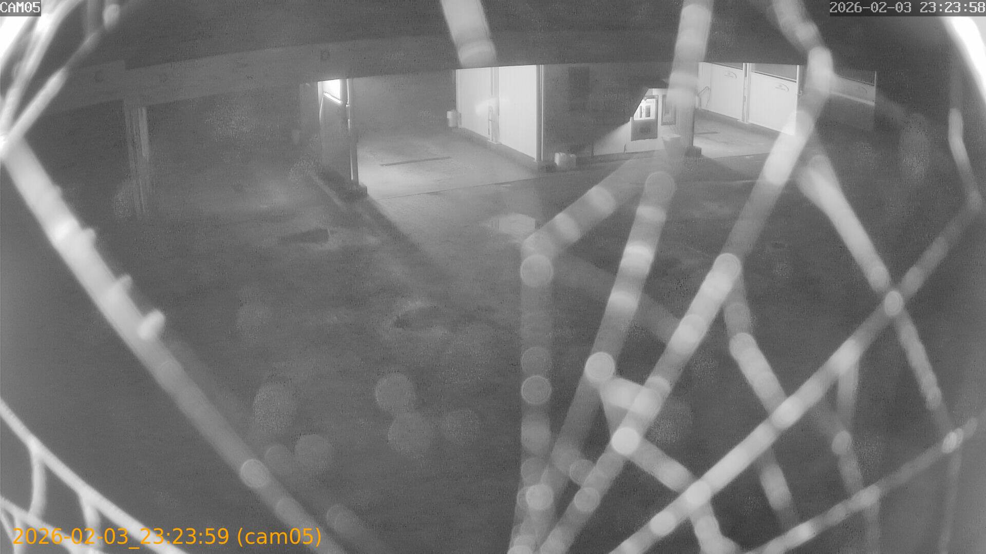 thumbnail_202602032323