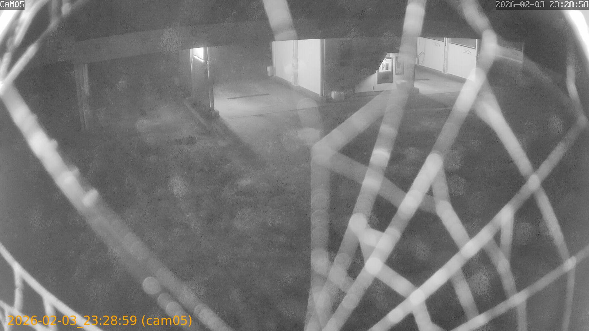 thumbnail_202602032328