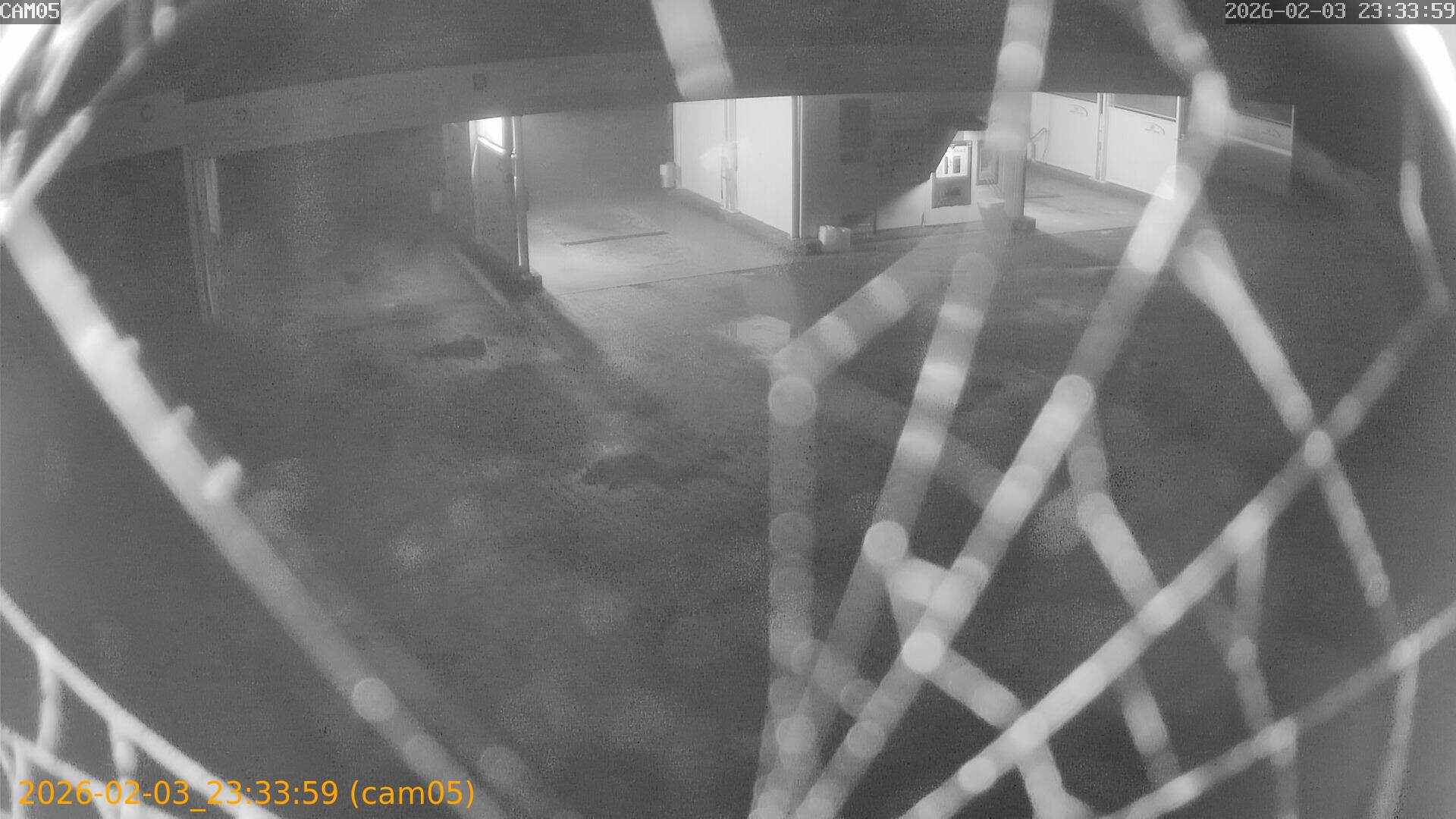 thumbnail_202602032333