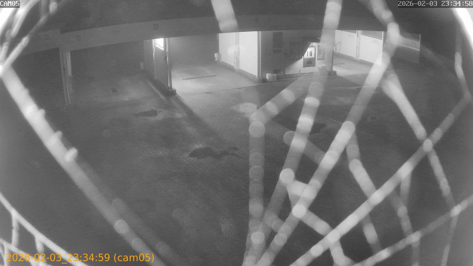 thumbnail_202602032334