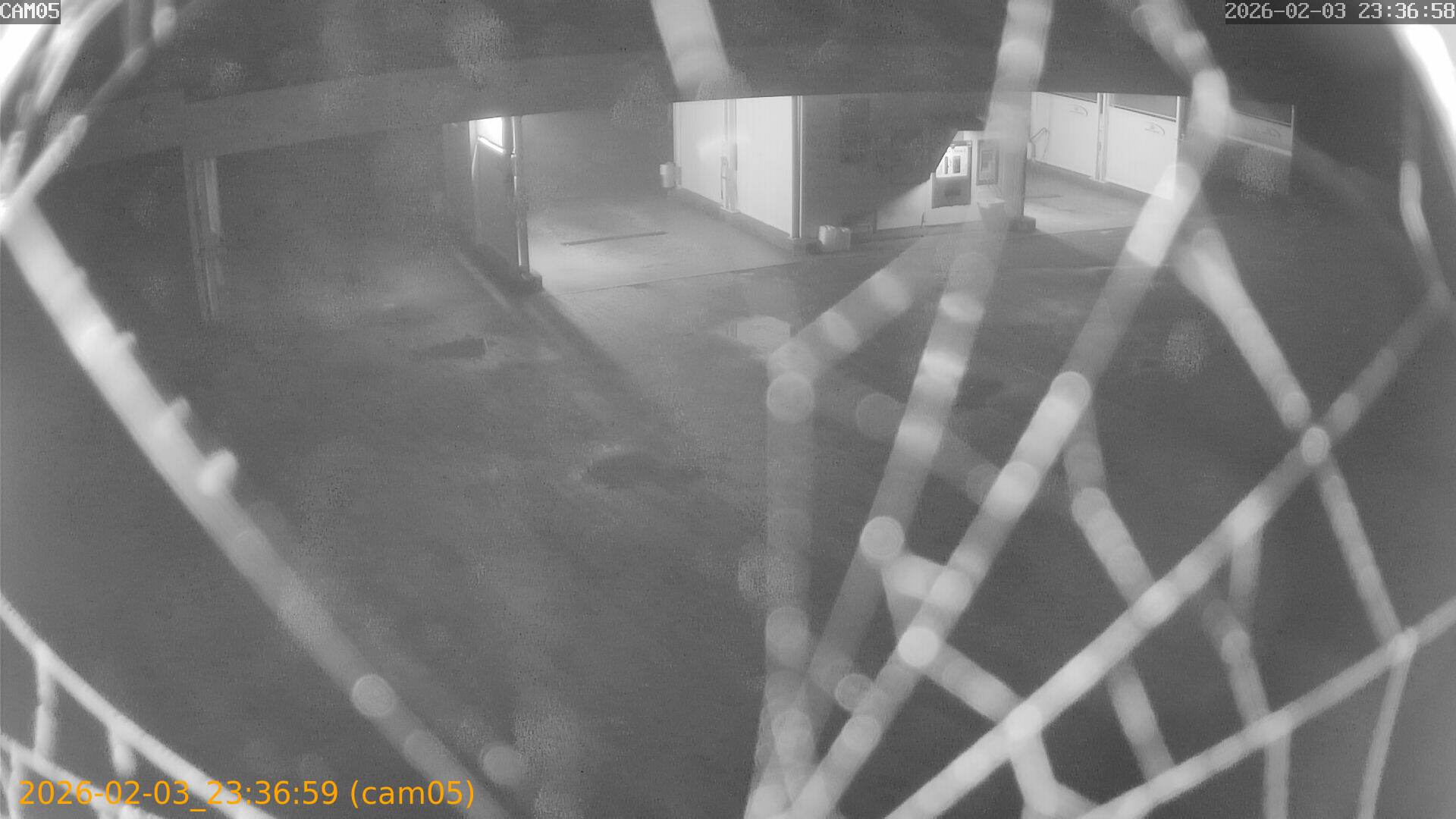 thumbnail_202602032336