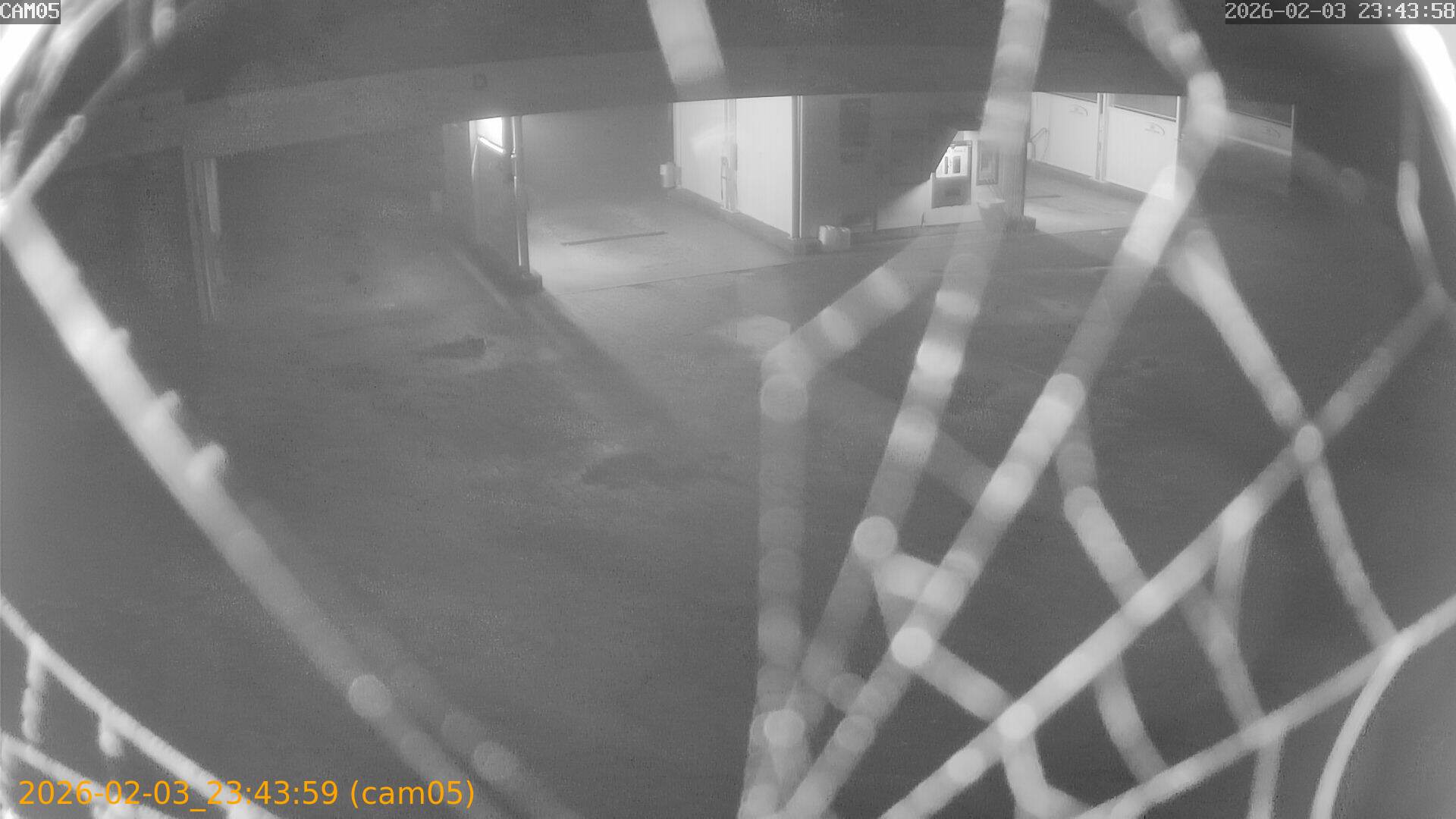 thumbnail_202602032343