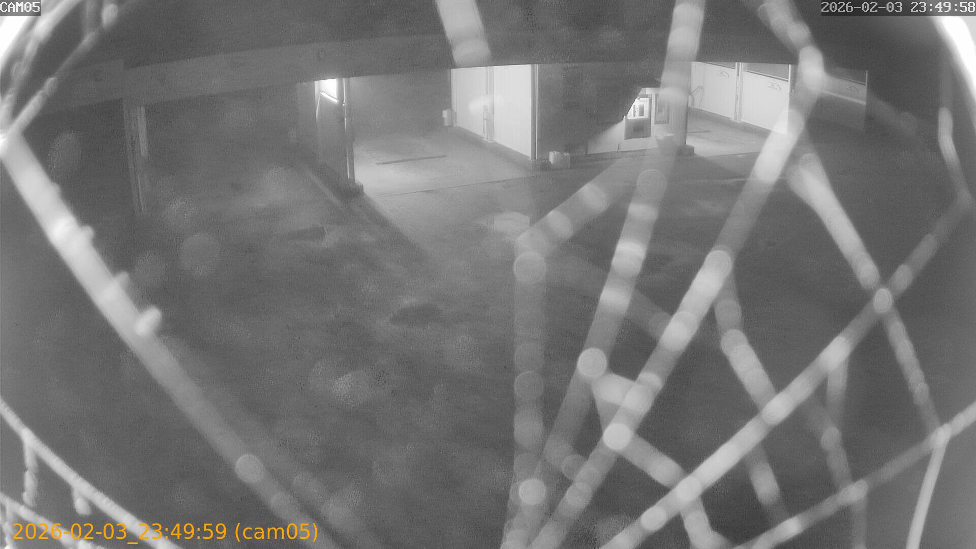 thumbnail_202602032349