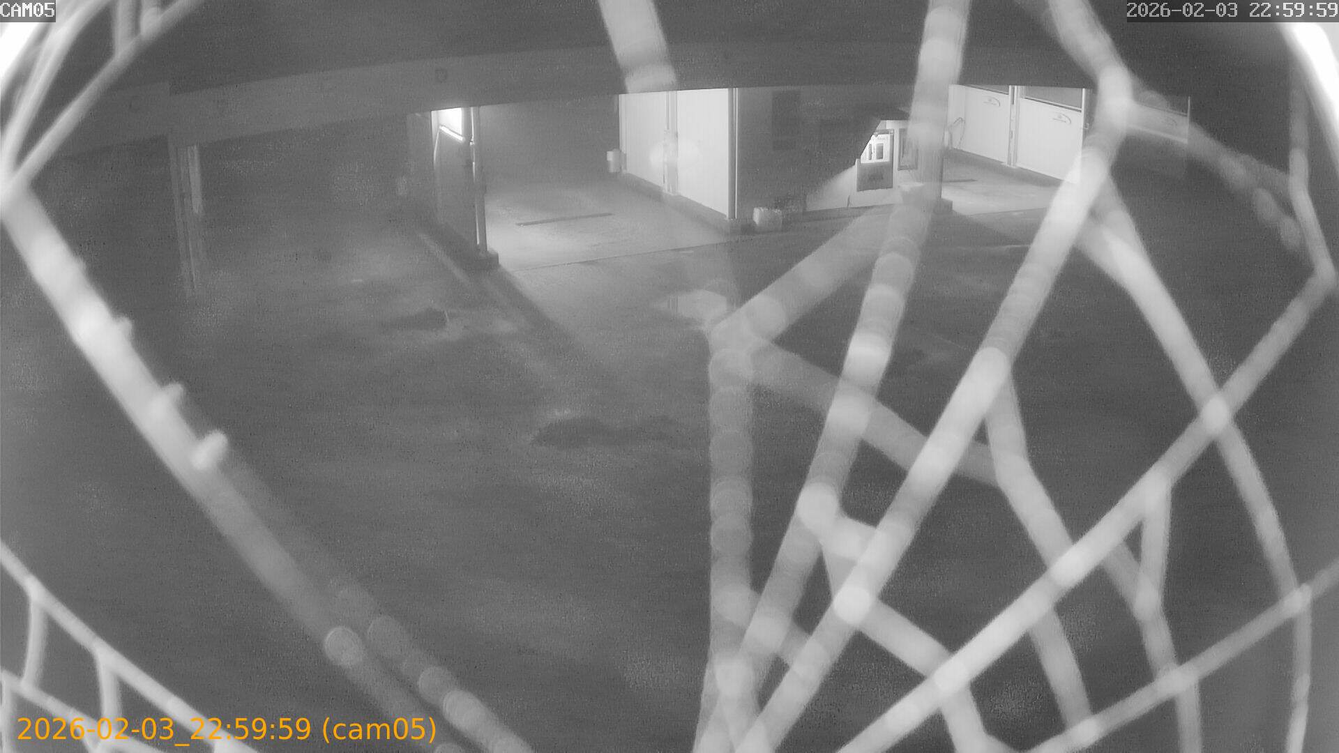 thumbnail_2026020322