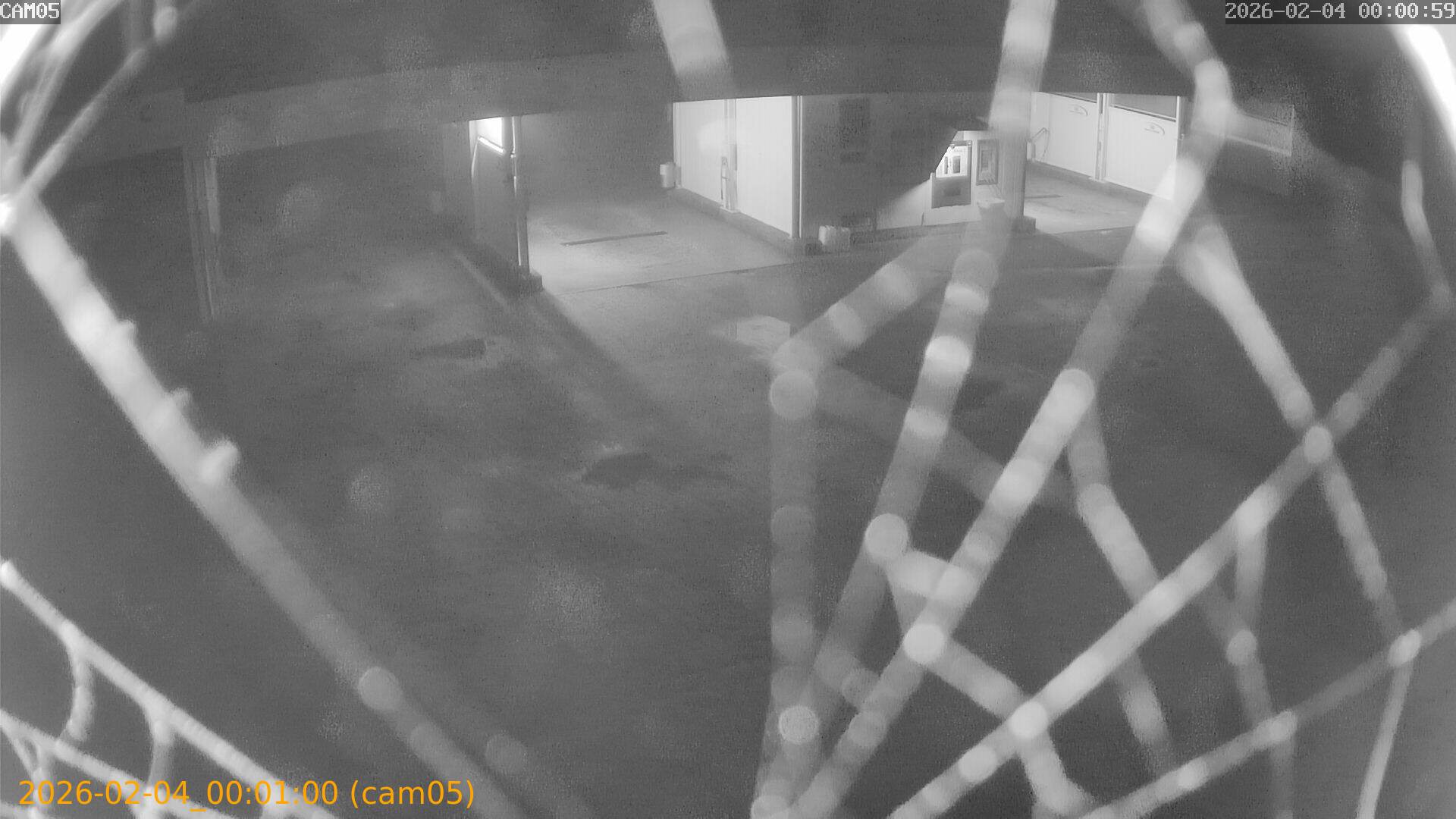 thumbnail_20260204000100