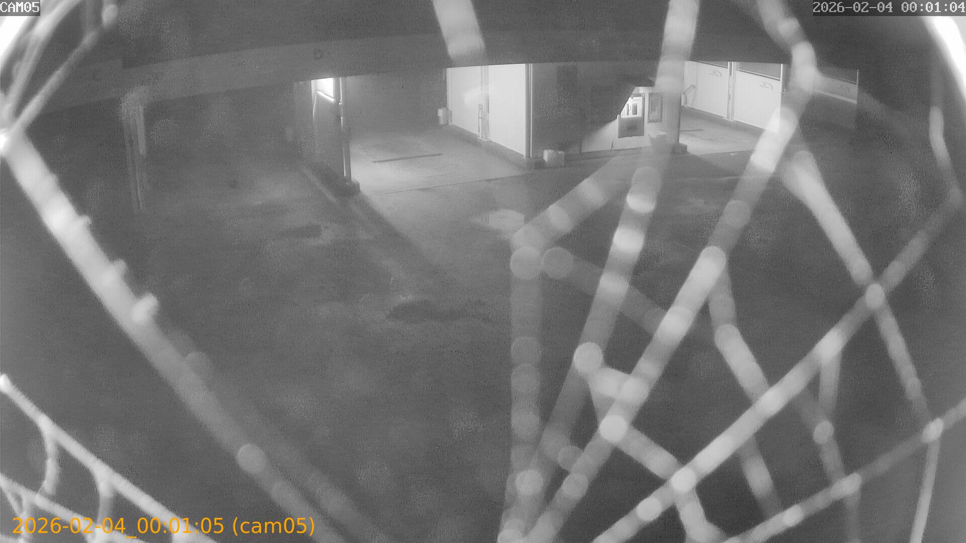 thumbnail_20260204000105