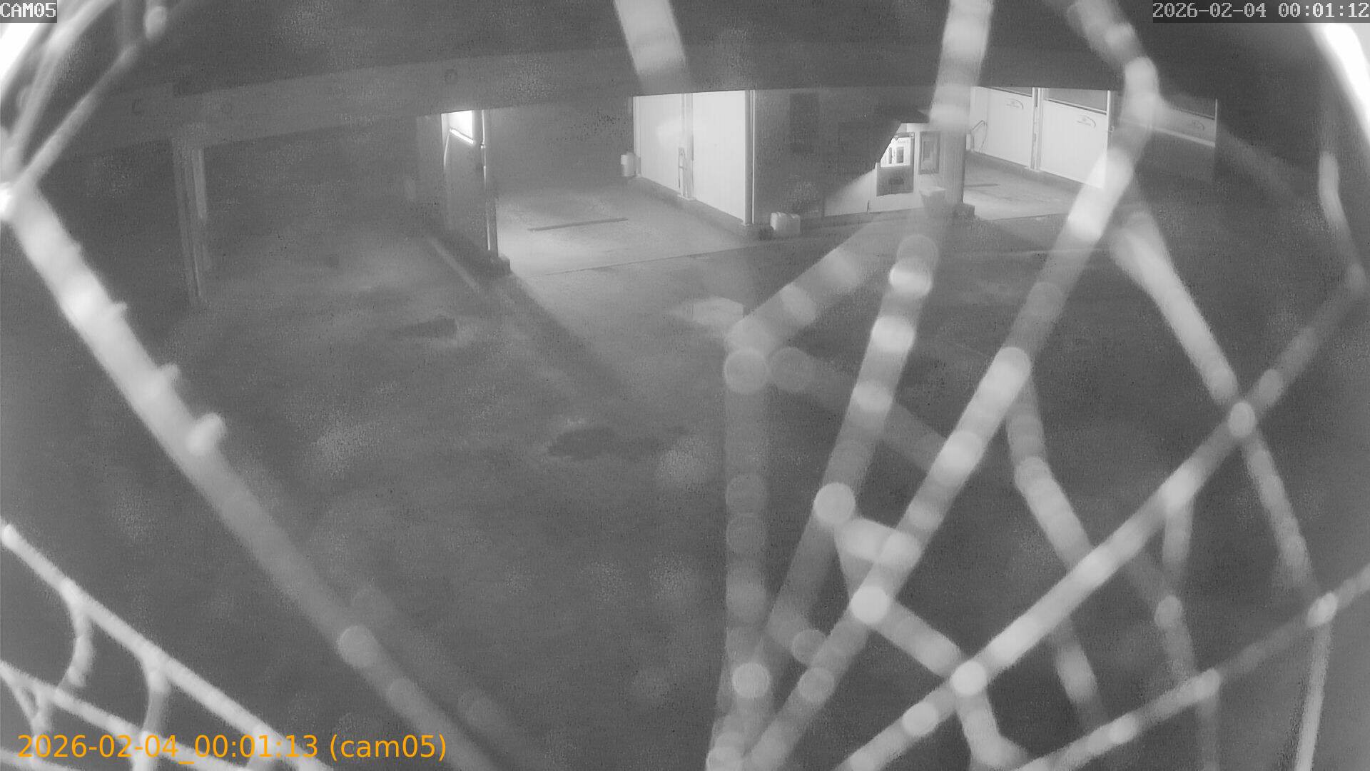 thumbnail_20260204000113