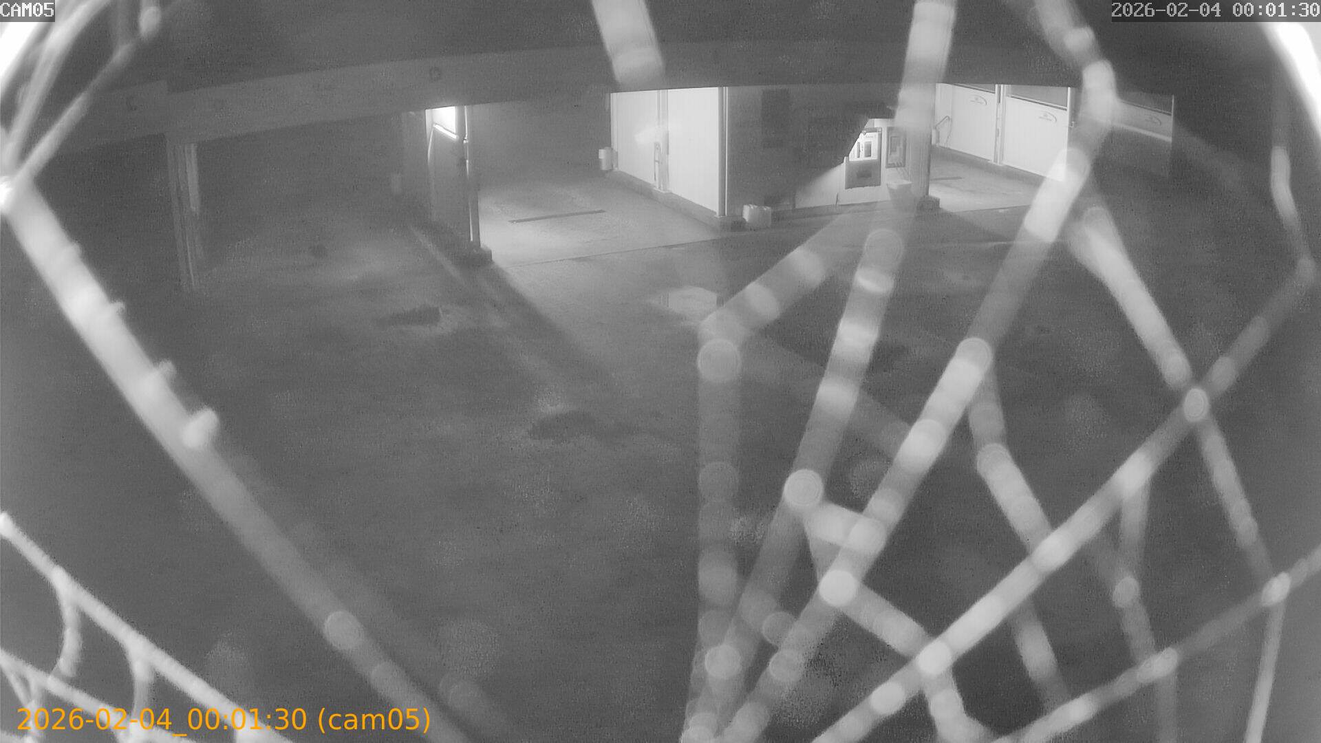 thumbnail_20260204000130