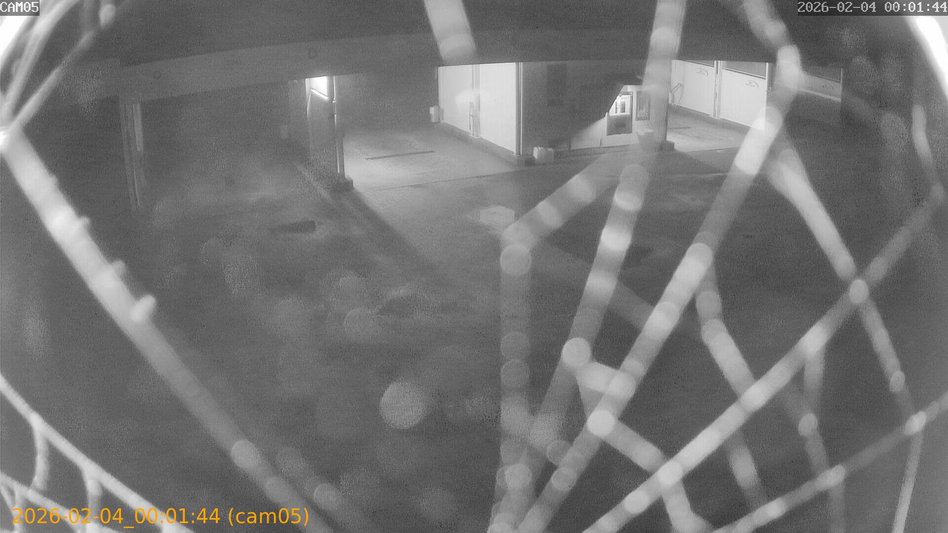 thumbnail_20260204000144