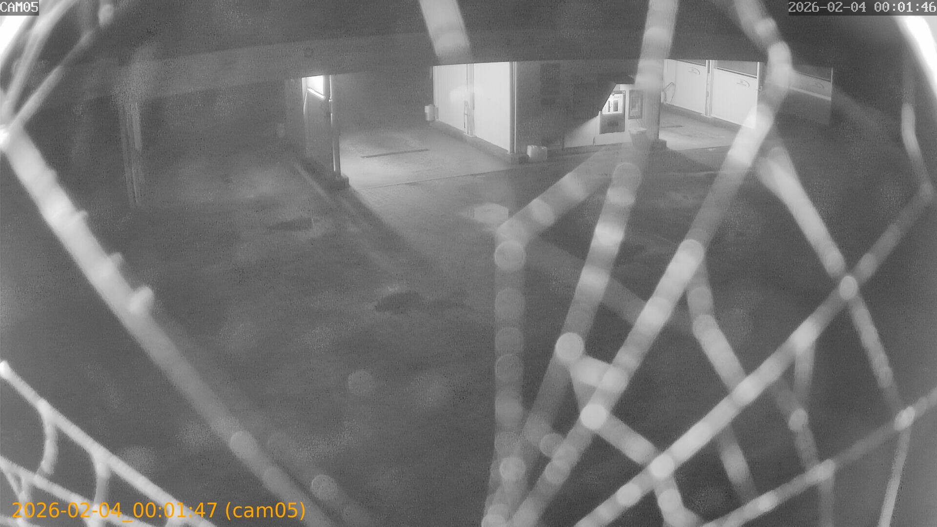 thumbnail_20260204000147