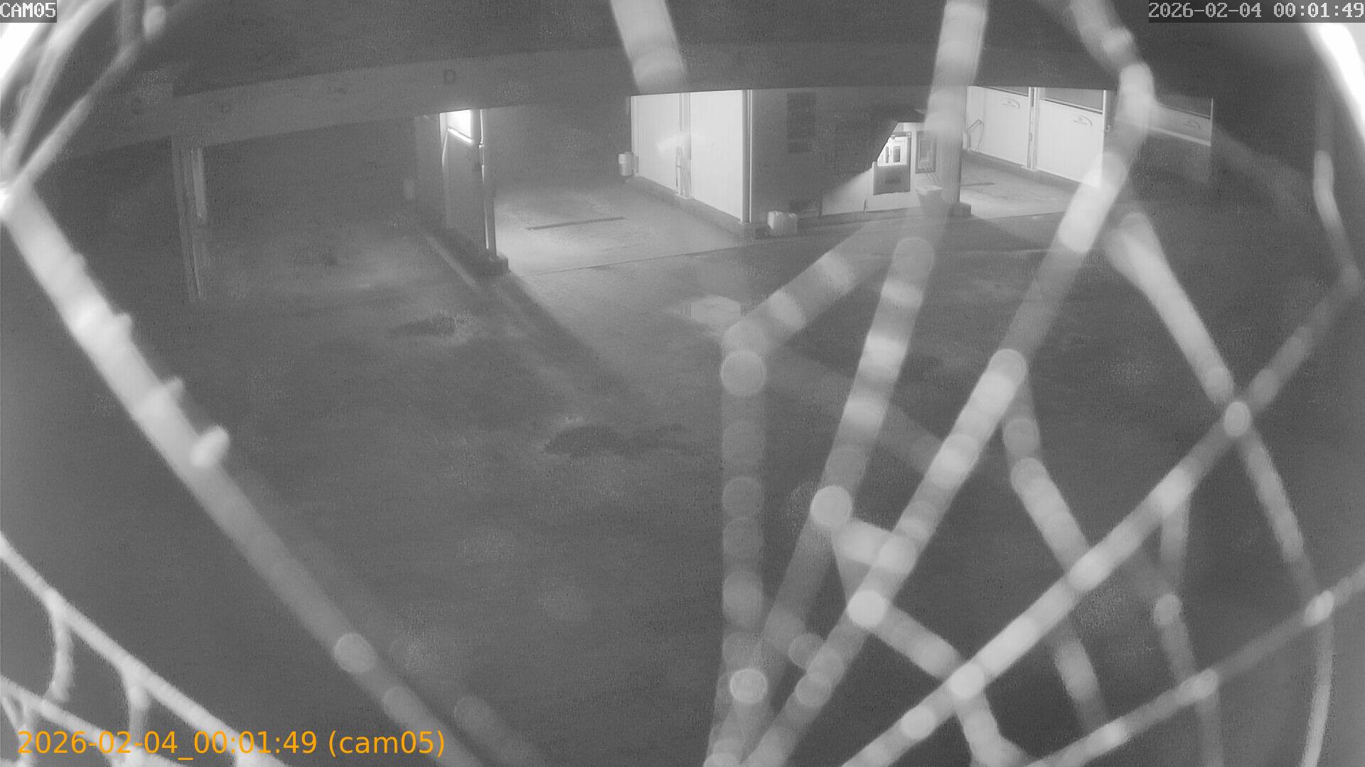 thumbnail_20260204000149