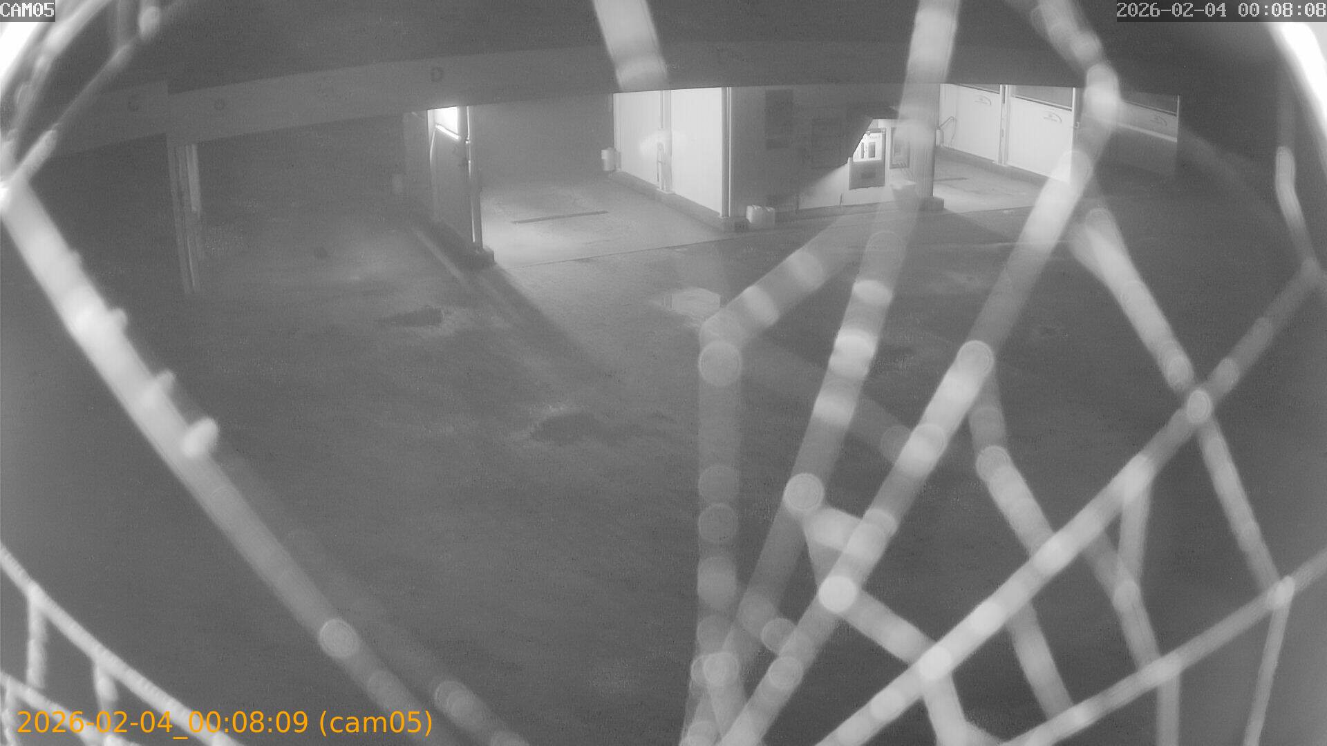 thumbnail_20260204000809