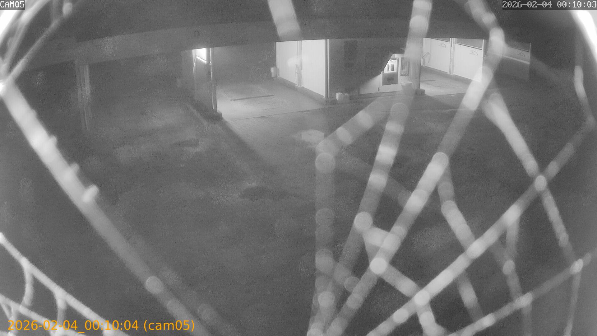 thumbnail_20260204001004