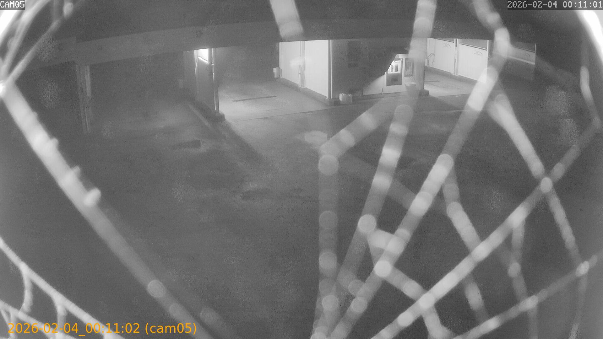 thumbnail_20260204001102