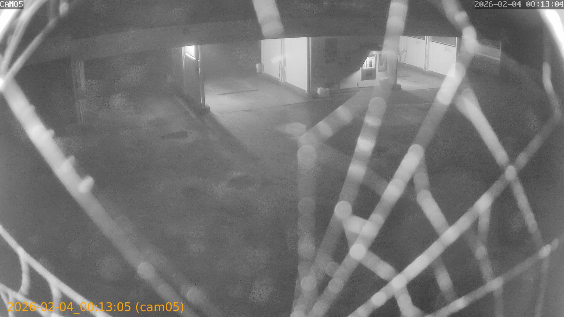 thumbnail_20260204001305