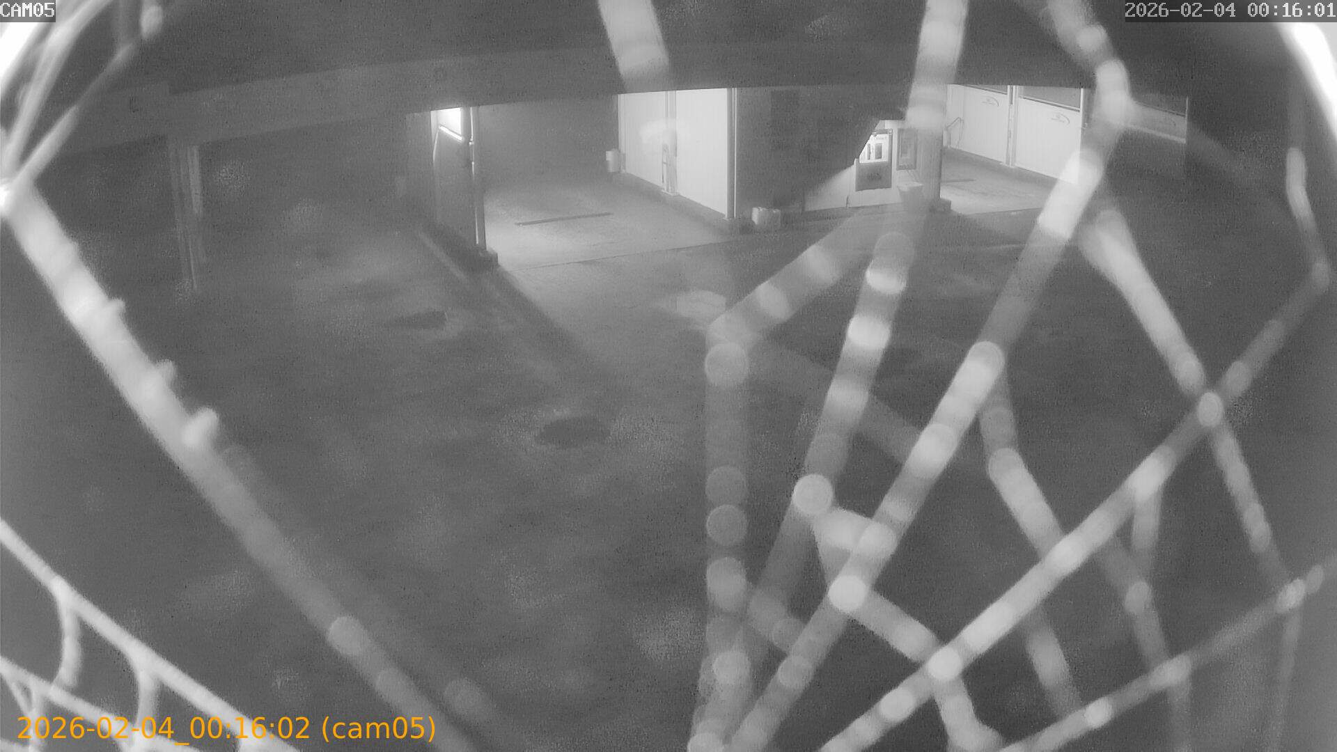 thumbnail_20260204001602