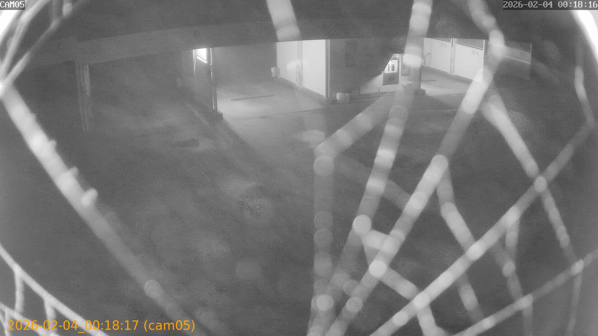 thumbnail_20260204001817