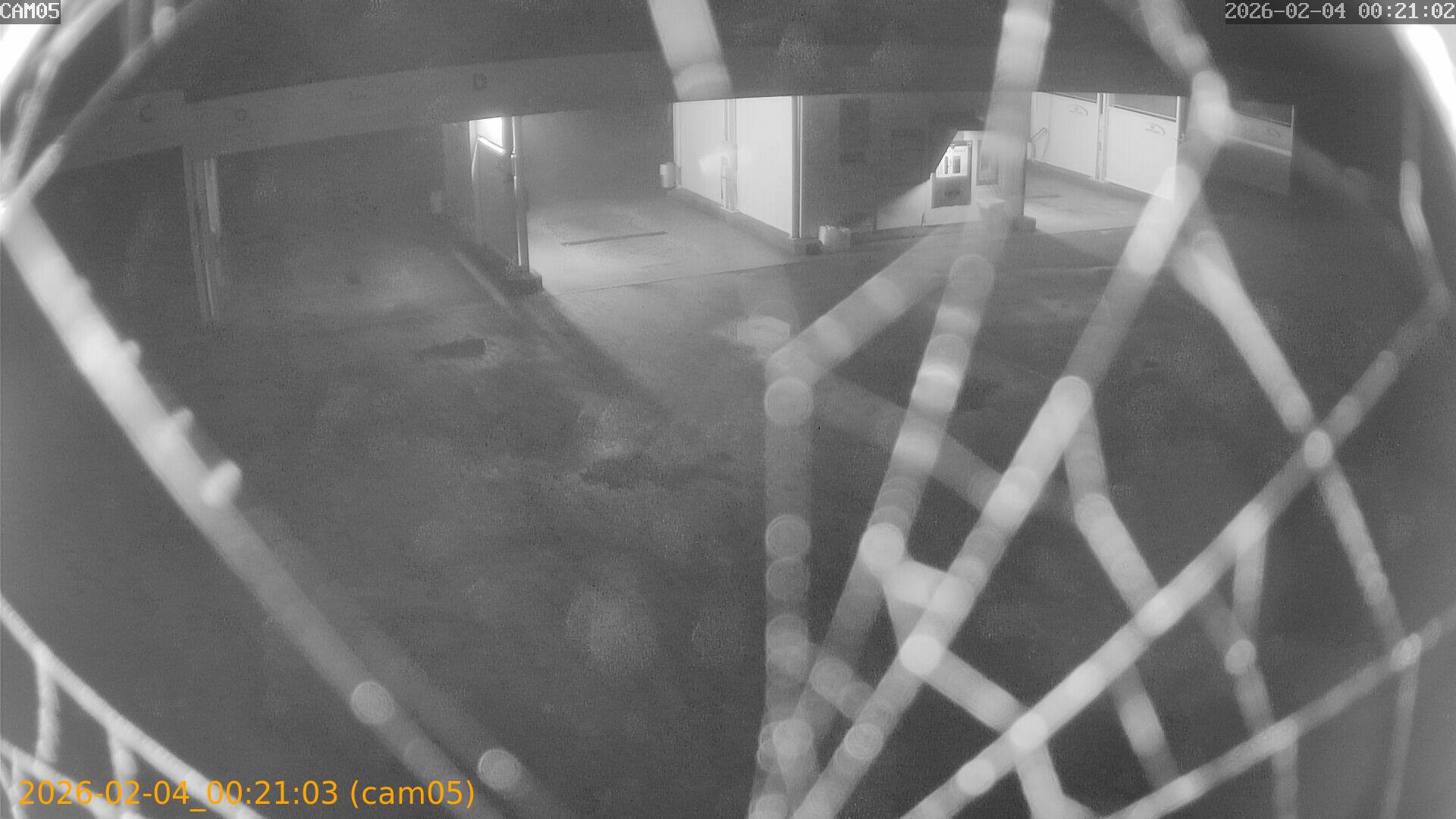 thumbnail_20260204002103