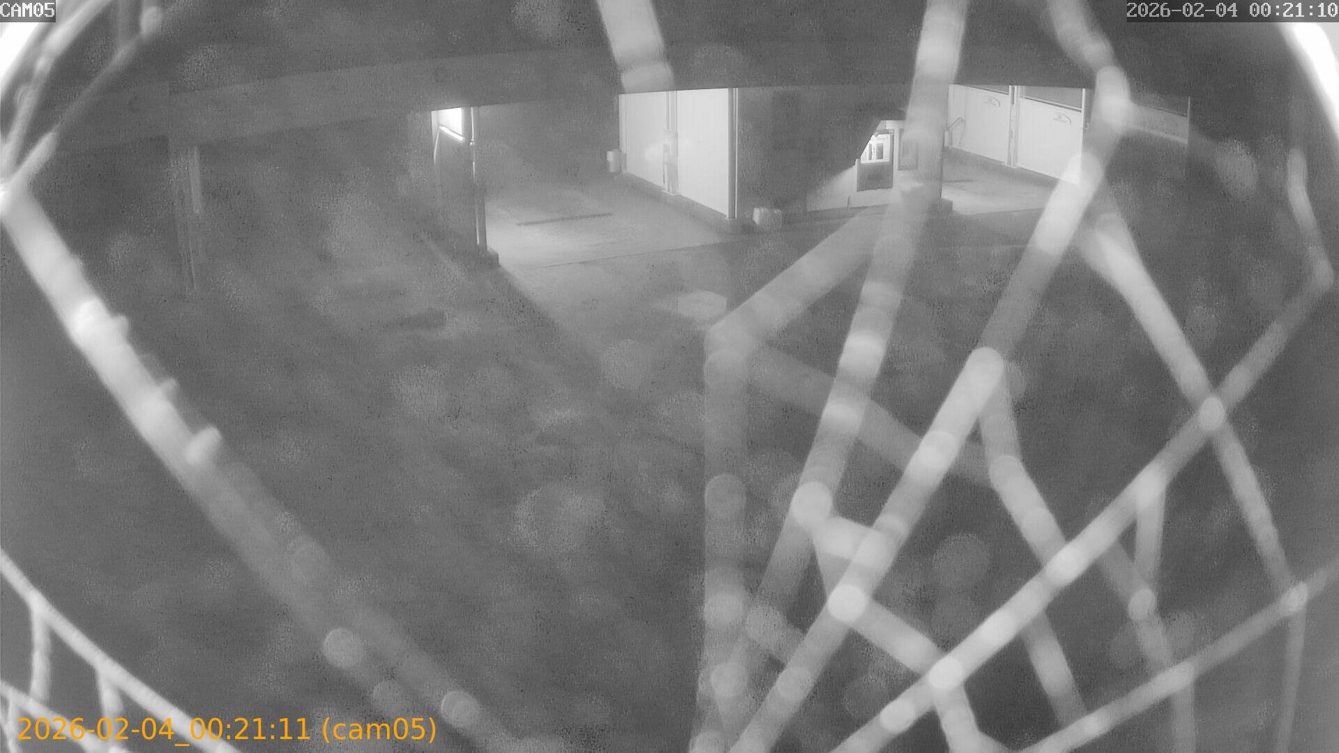 thumbnail_20260204002111