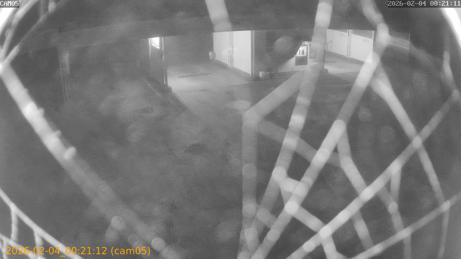 thumbnail_20260204002112